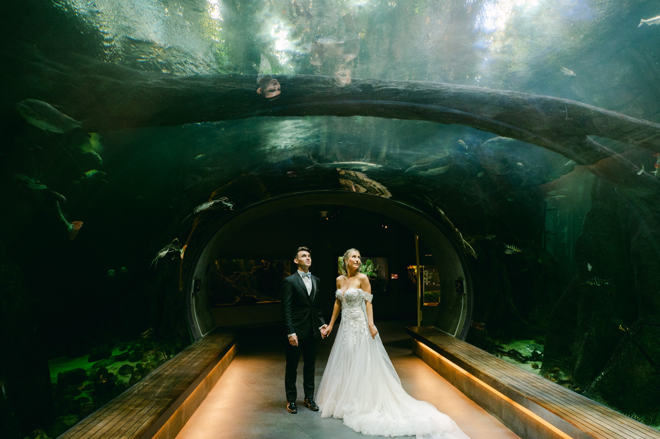 California academy of Sciences in San Francisco Wedding, photo of the couple in a big aquarium looking at the fishes