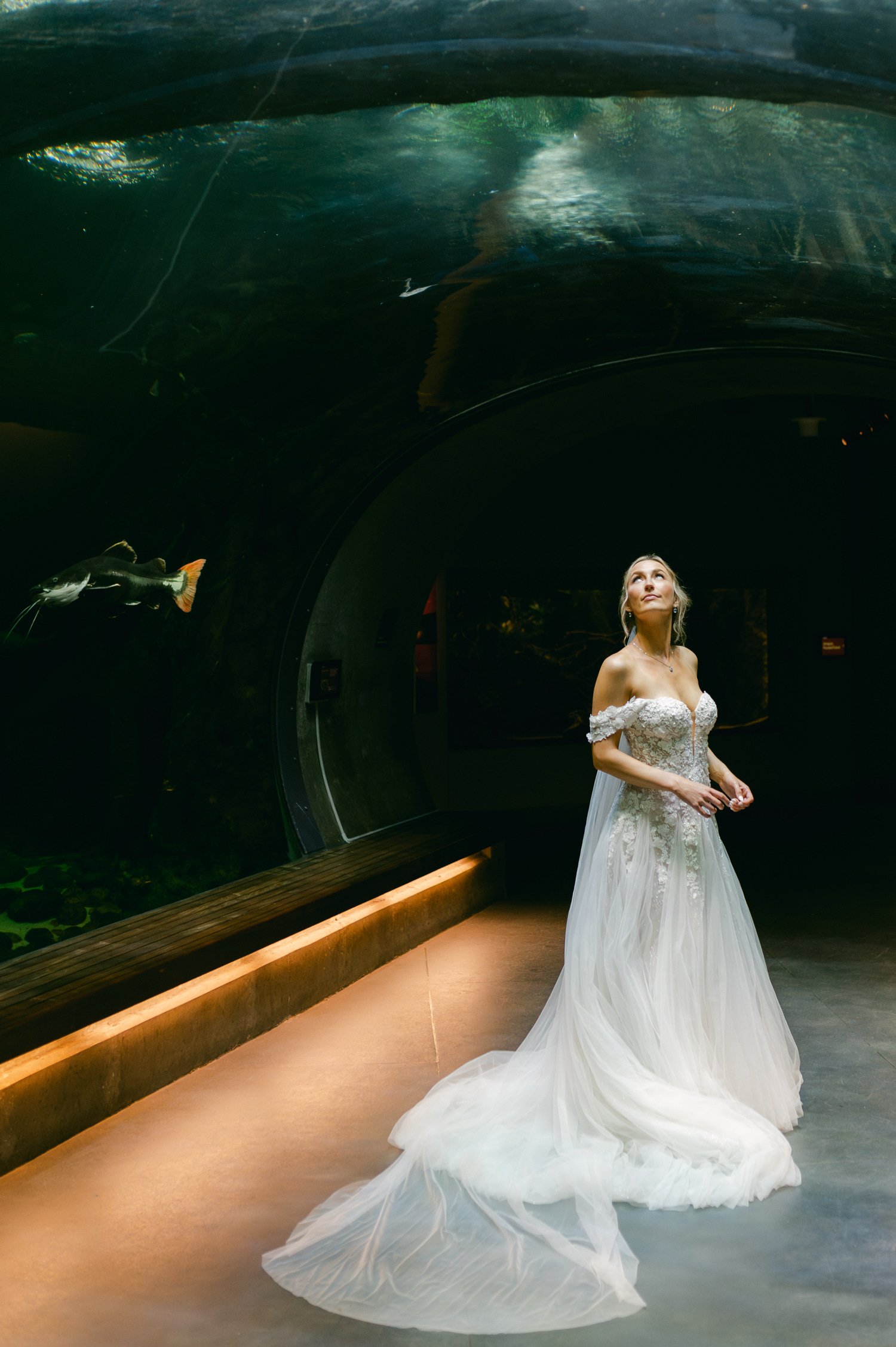 California academy of Sciences in San Francisco Wedding, photo of the bride in her beautiful long off-shoulder wedding dress looking at the fishes in the aquarium