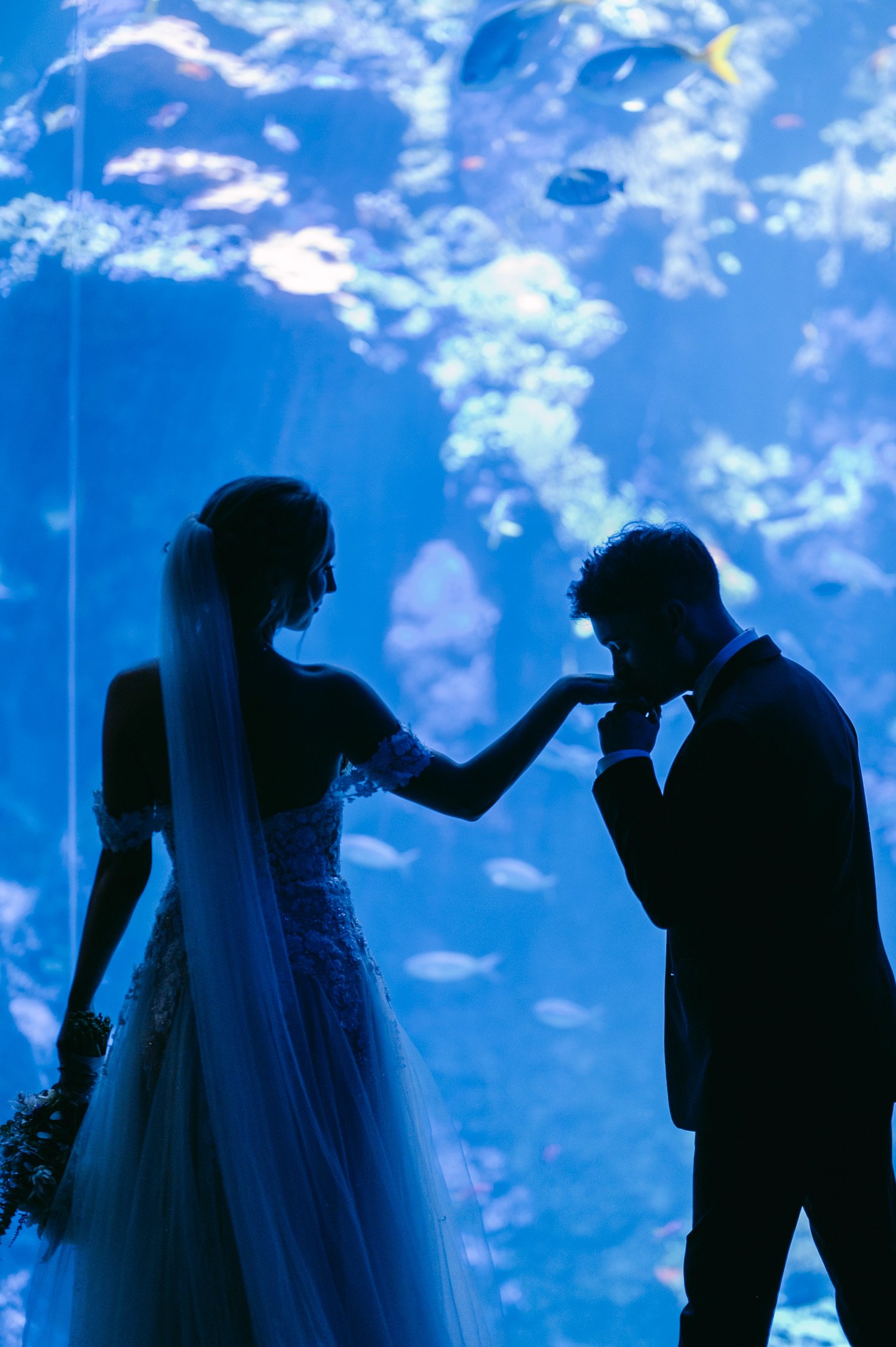 California academy of Sciences in San Francisco Wedding, photo of the groom kissing the bride’s hand inside the big aquarium with fishes