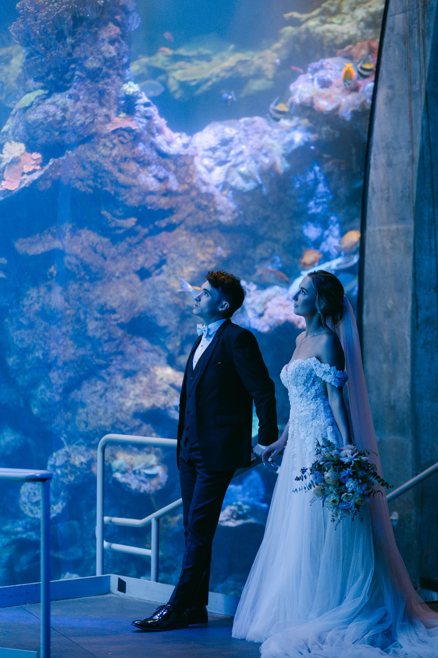 California academy of Sciences in San Francisco Wedding, photo of the couple under a big aquarium looking at the fishes