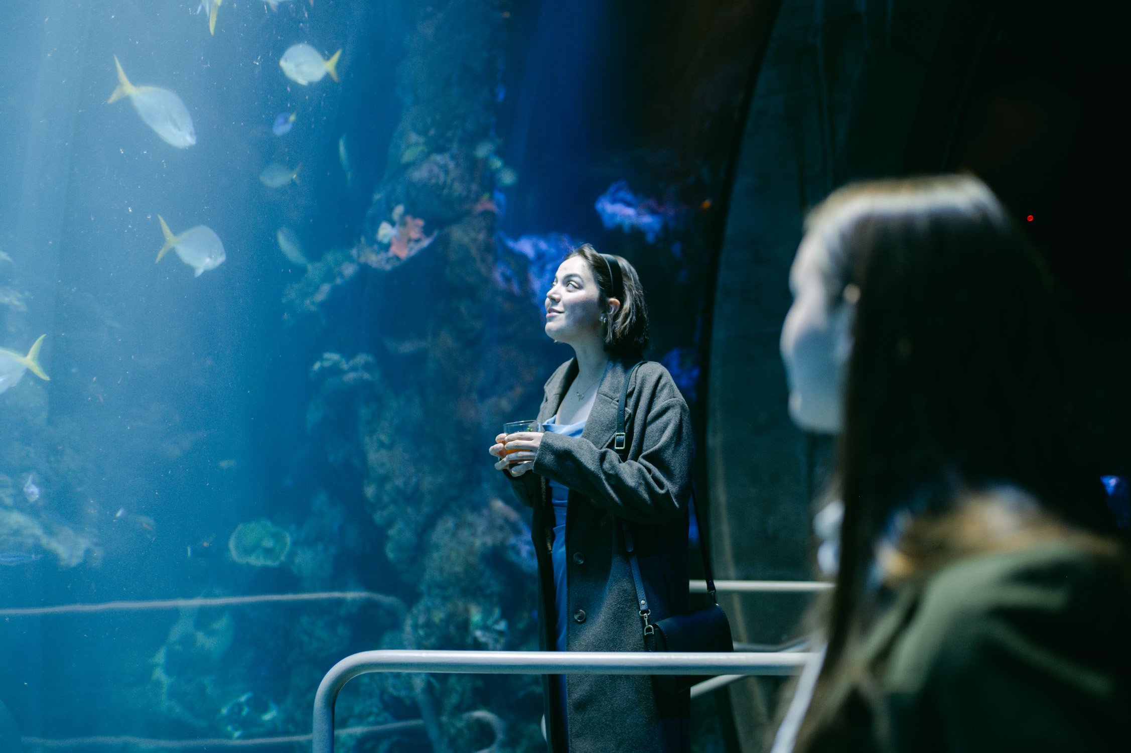 California academy of Sciences in San Francisco Wedding, photo of the wedding guest looking at the fishes in the aquarium