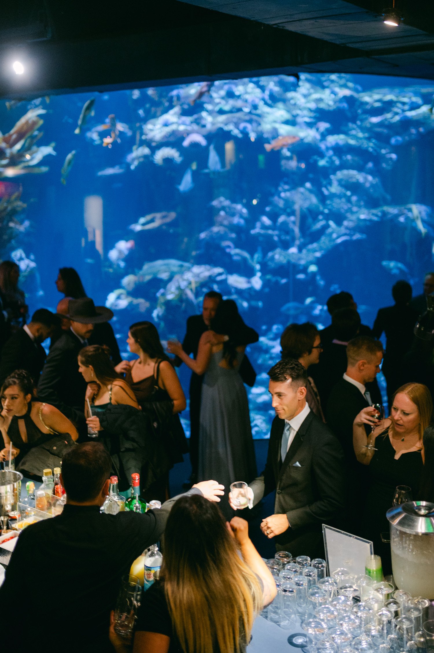 California academy of Sciences in San Francisco Wedding, photo of the wedding guests enjoying during the drinks reception in the aquarium