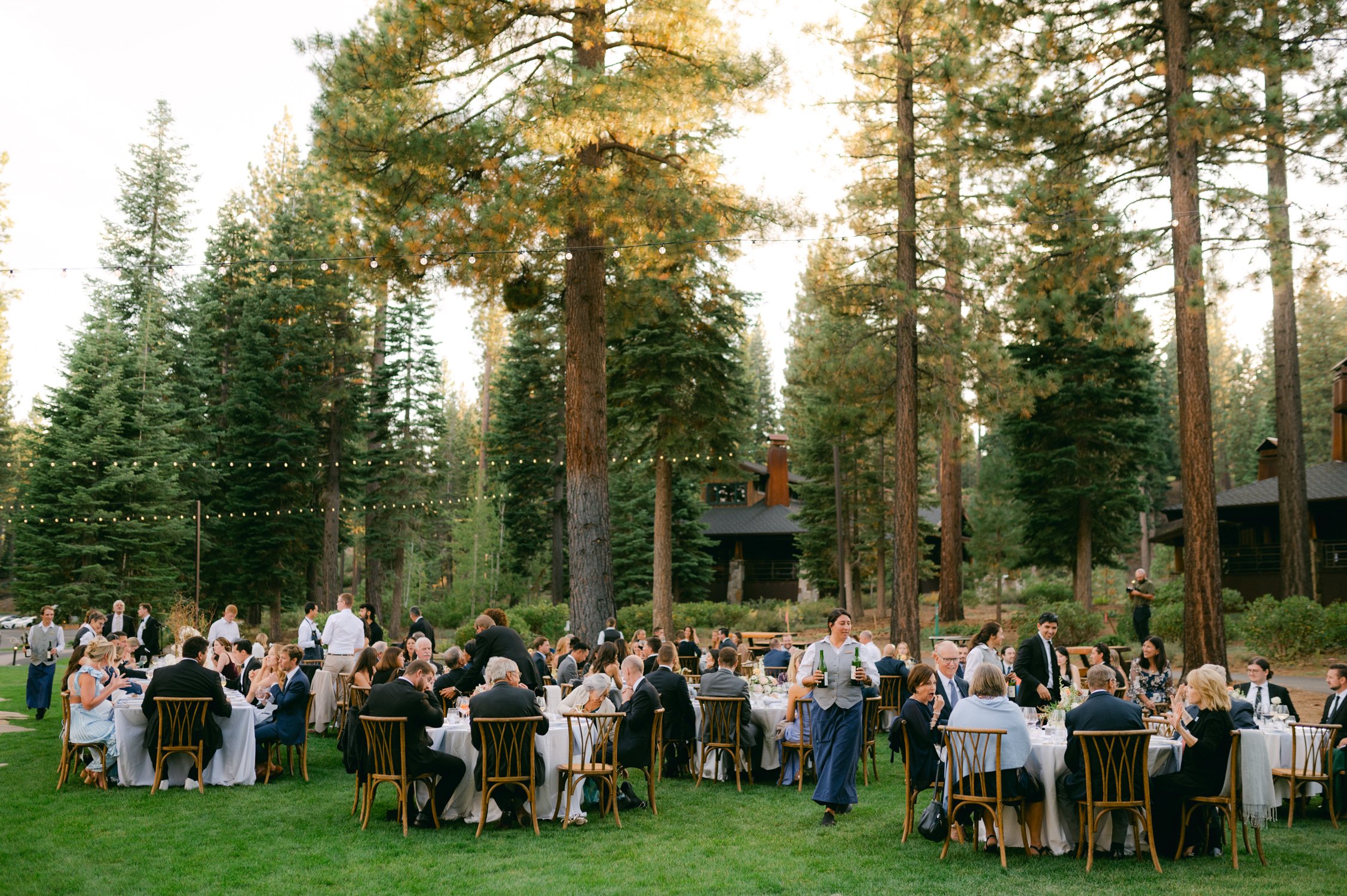 Martis Camp Wedding, photo of the wedding guests sitting in the outdoor wedding reception surrounded by tall trees