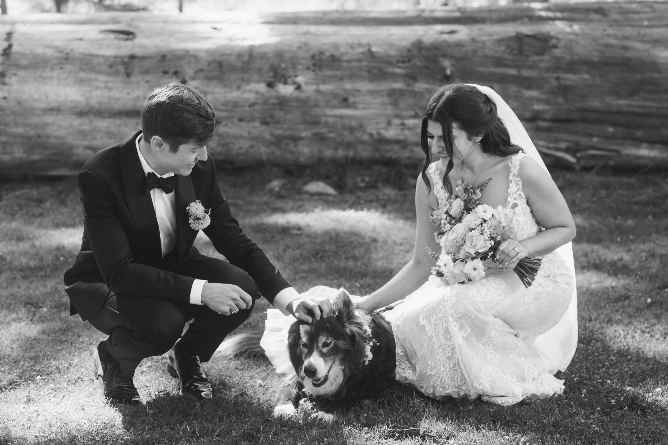 Valhalla wedding photo of the couple with their dog