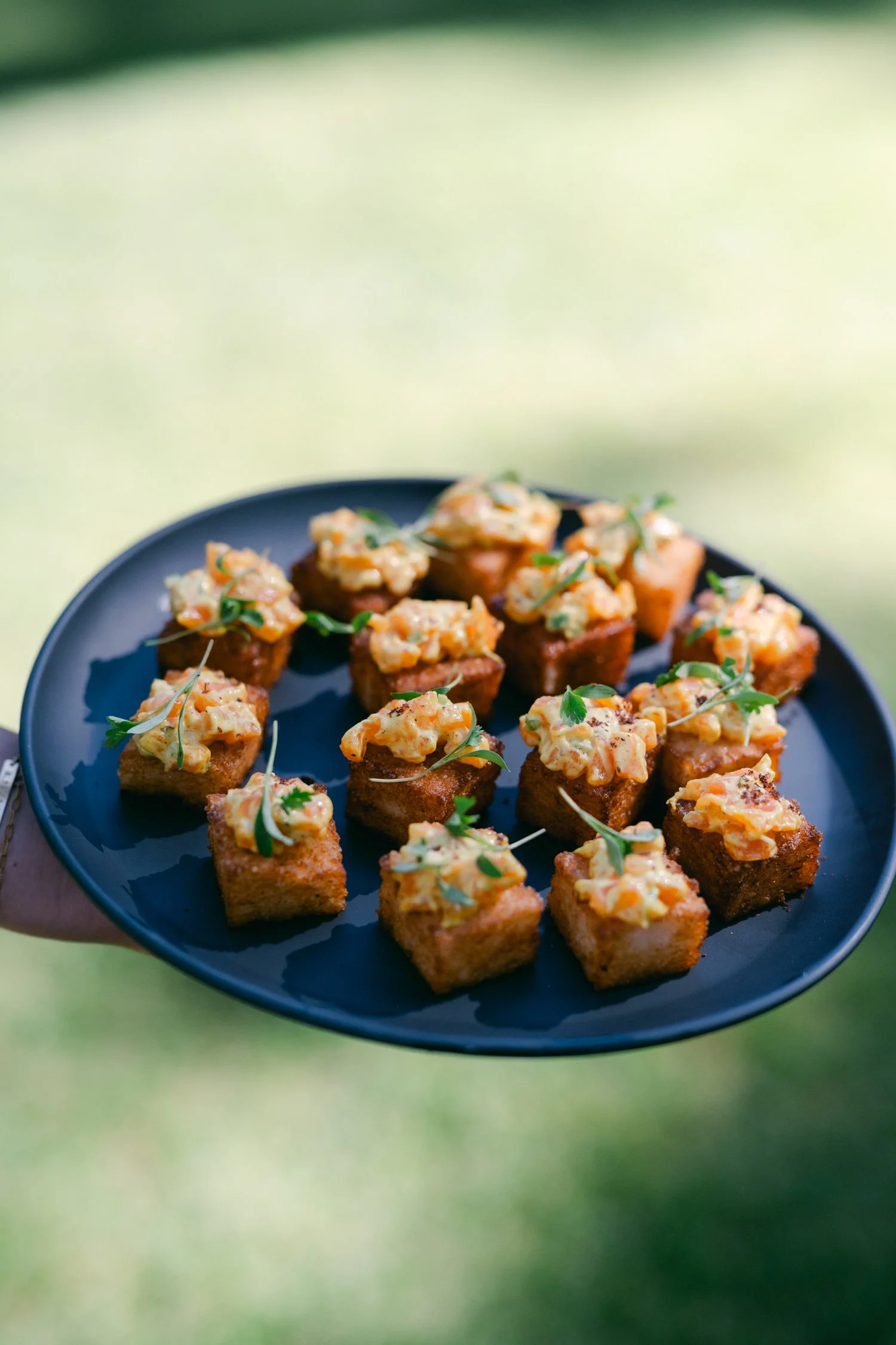 Valhalla wedding photo of wedding appetizers