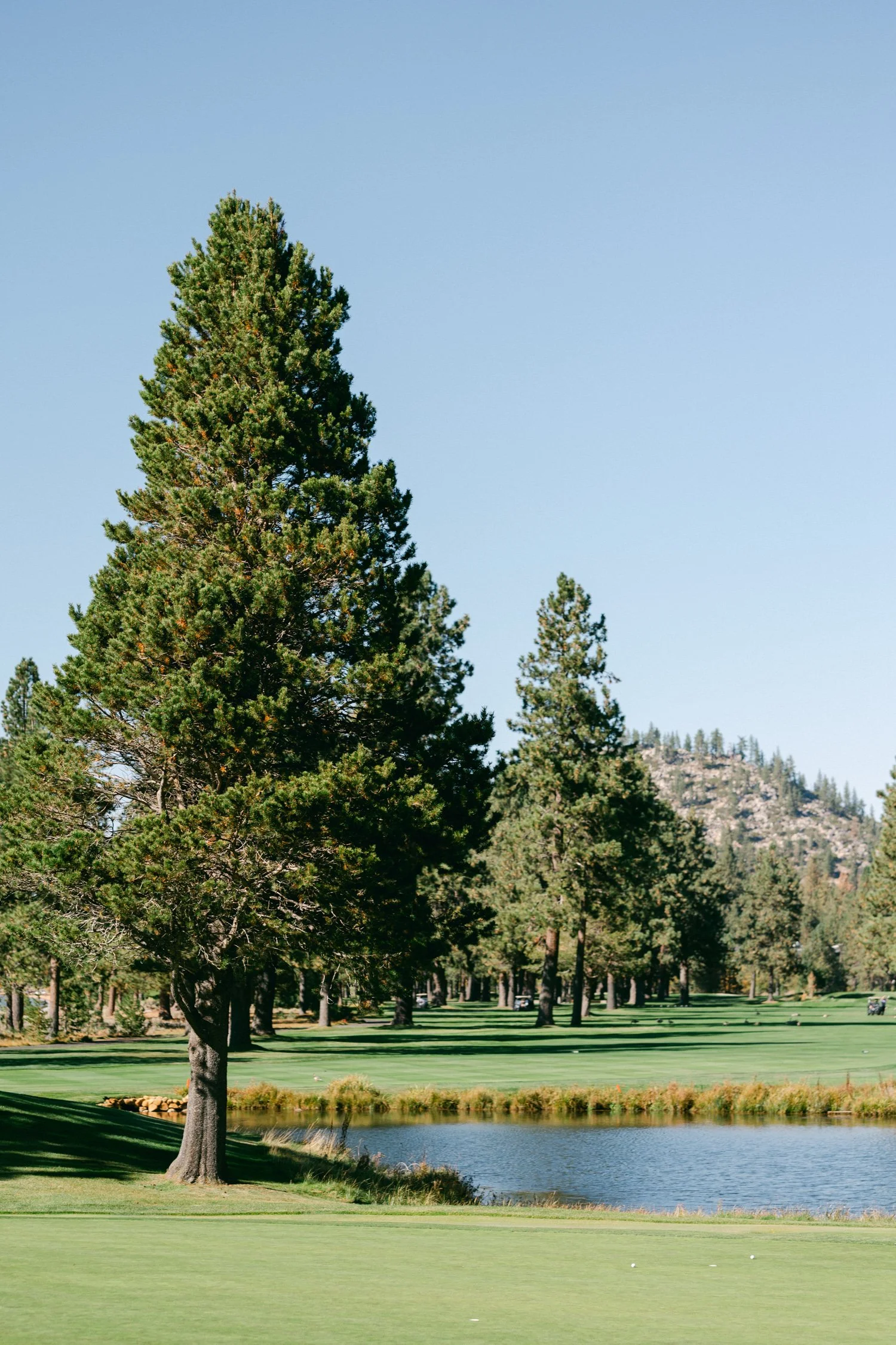 Edgewood Lake Tahoe wedding, photo of the scenic lakeside venue surrounded by nature