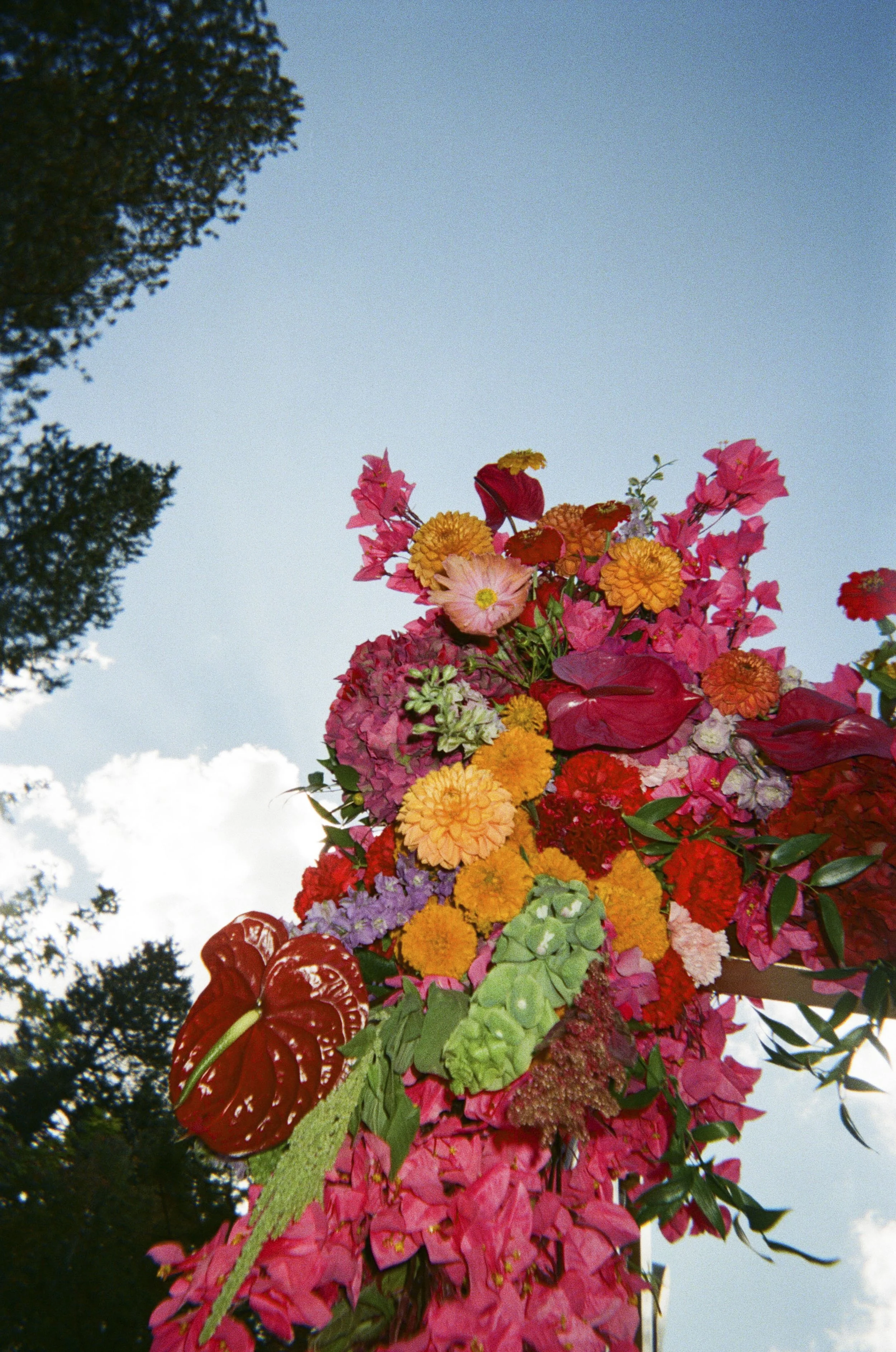 p&j - film-5.jpg