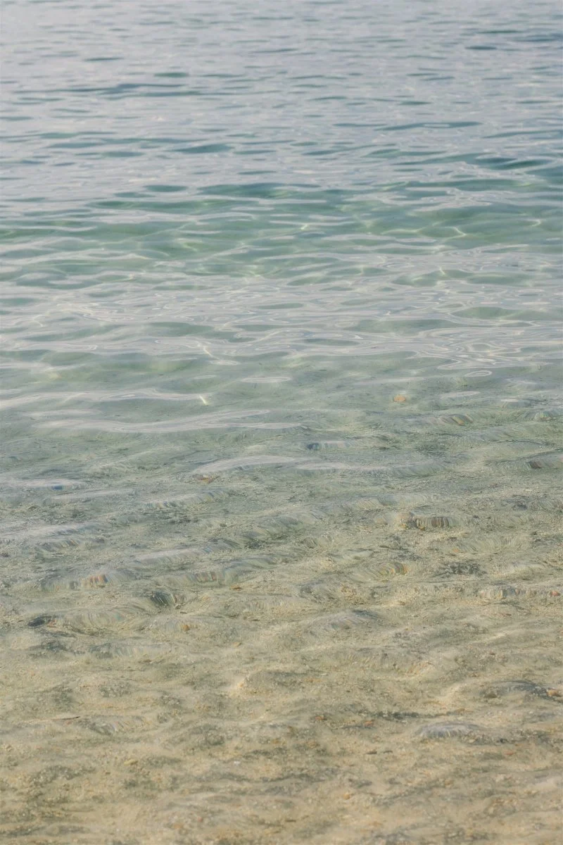 Beach Retreat &amp; Lodge at Tahoe wedding