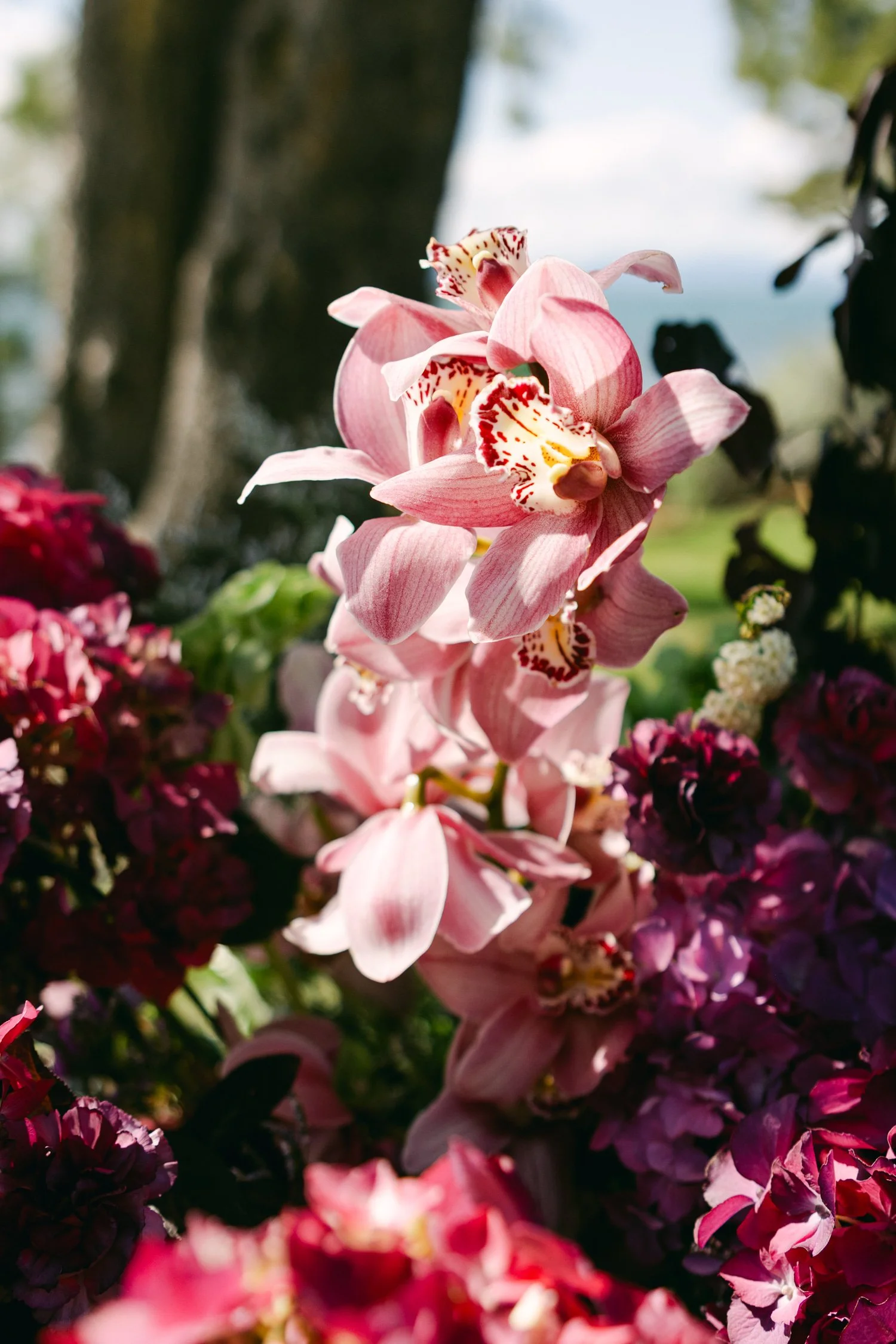 Edgewood maximalist wedding, photo of Cymbidium orchids arranged in luxurious wedding floral arrangement
