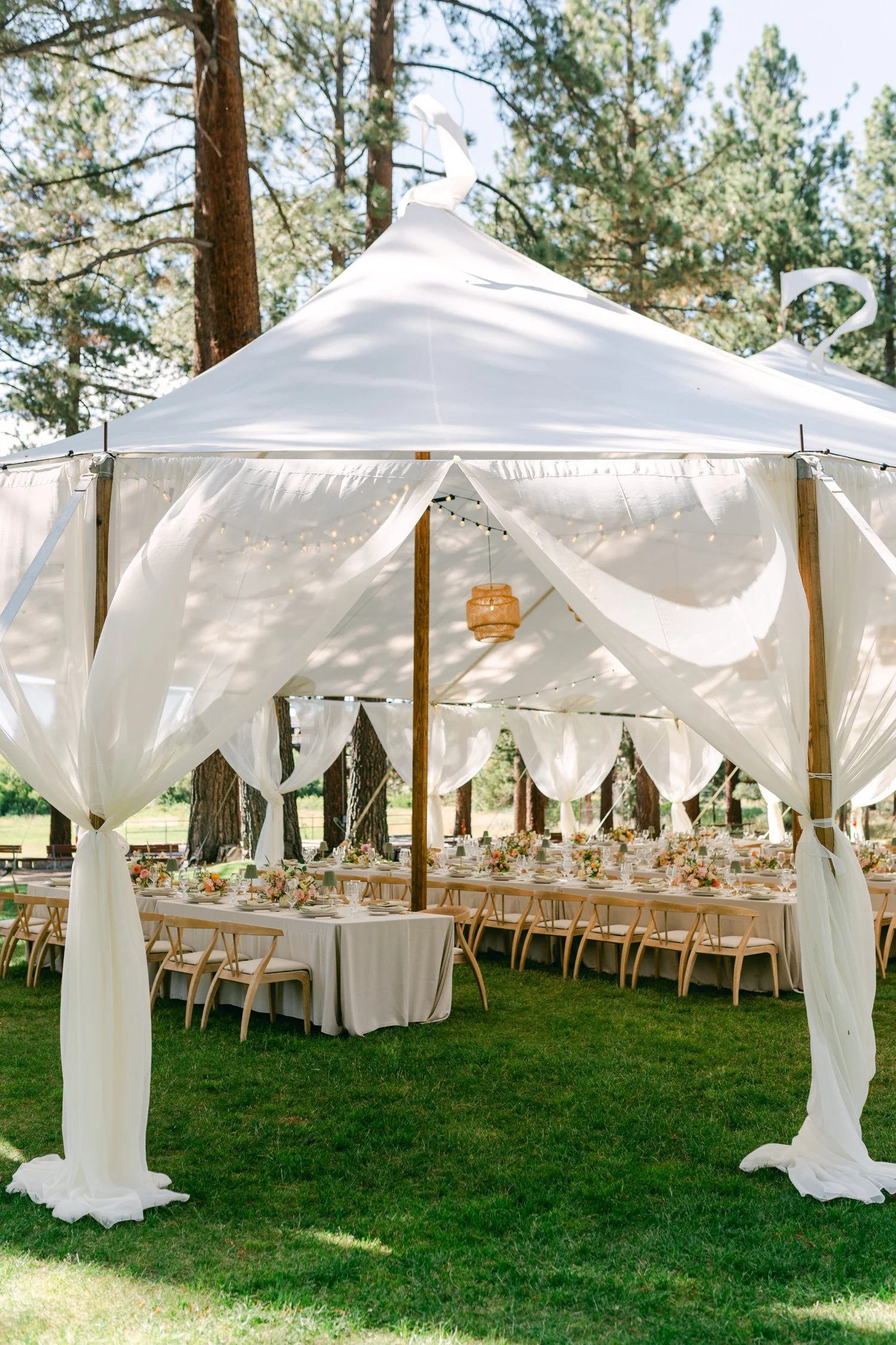 Lake Tahoe 4-H Camp wedding photos, photo of white marquee tent featuring sheer draped fabric and wood poles, ideal for an outdoor reception