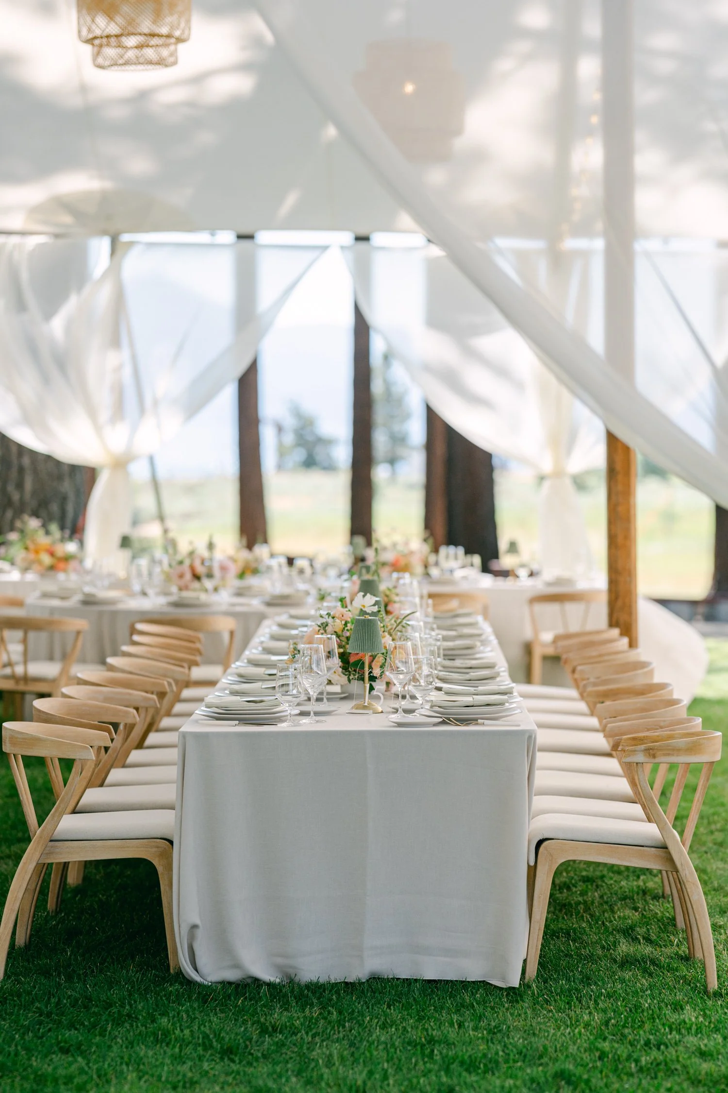 Lake Tahoe 4-H Camp wedding photos, photo of elegant outdoor wedding reception features a long table set under a white tent with draped fabric and wooden chairs