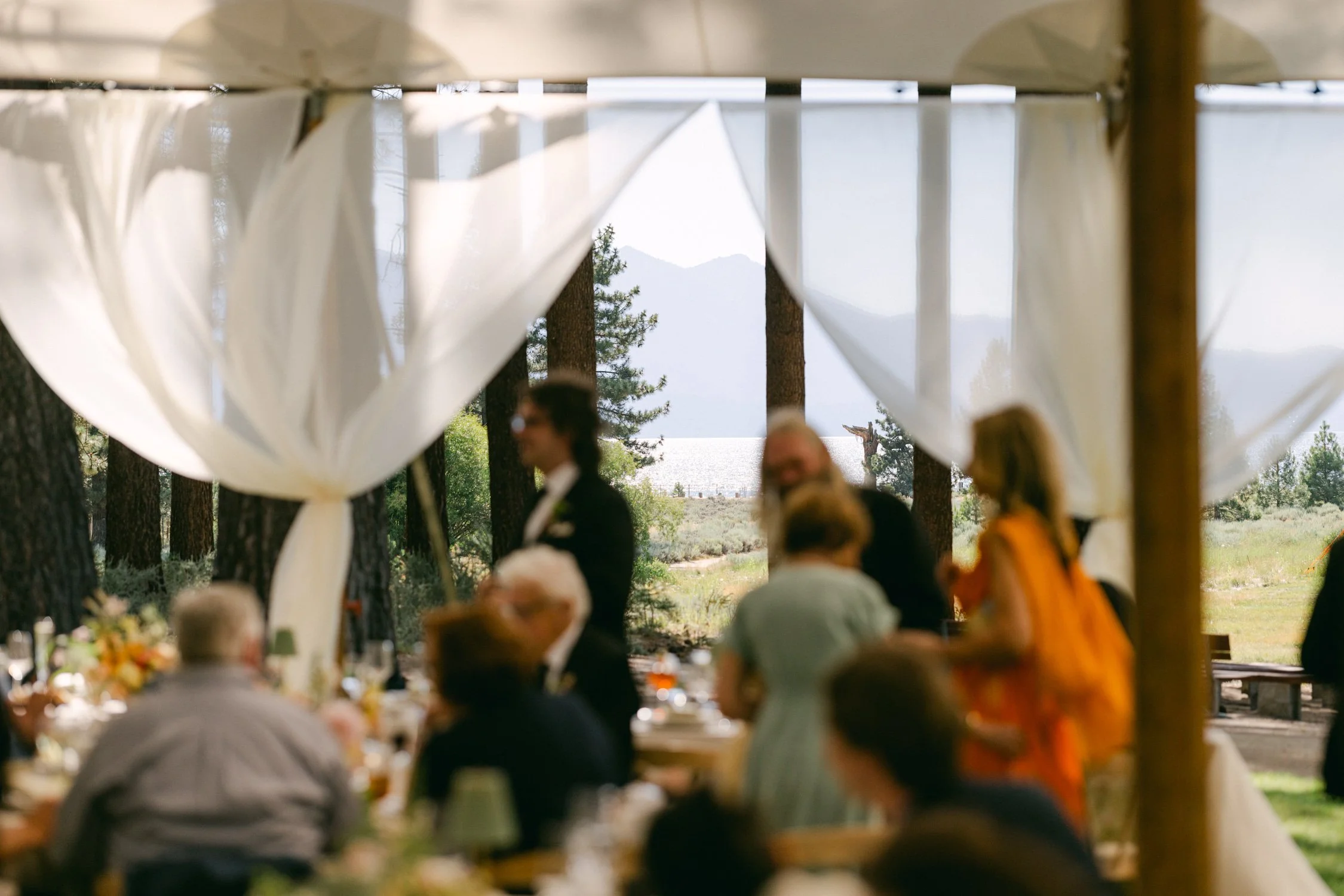 Lake Tahoe 4-H Camp wedding photos, photo of outdoor venue features light, airy white fabric draping and stunning scenic view