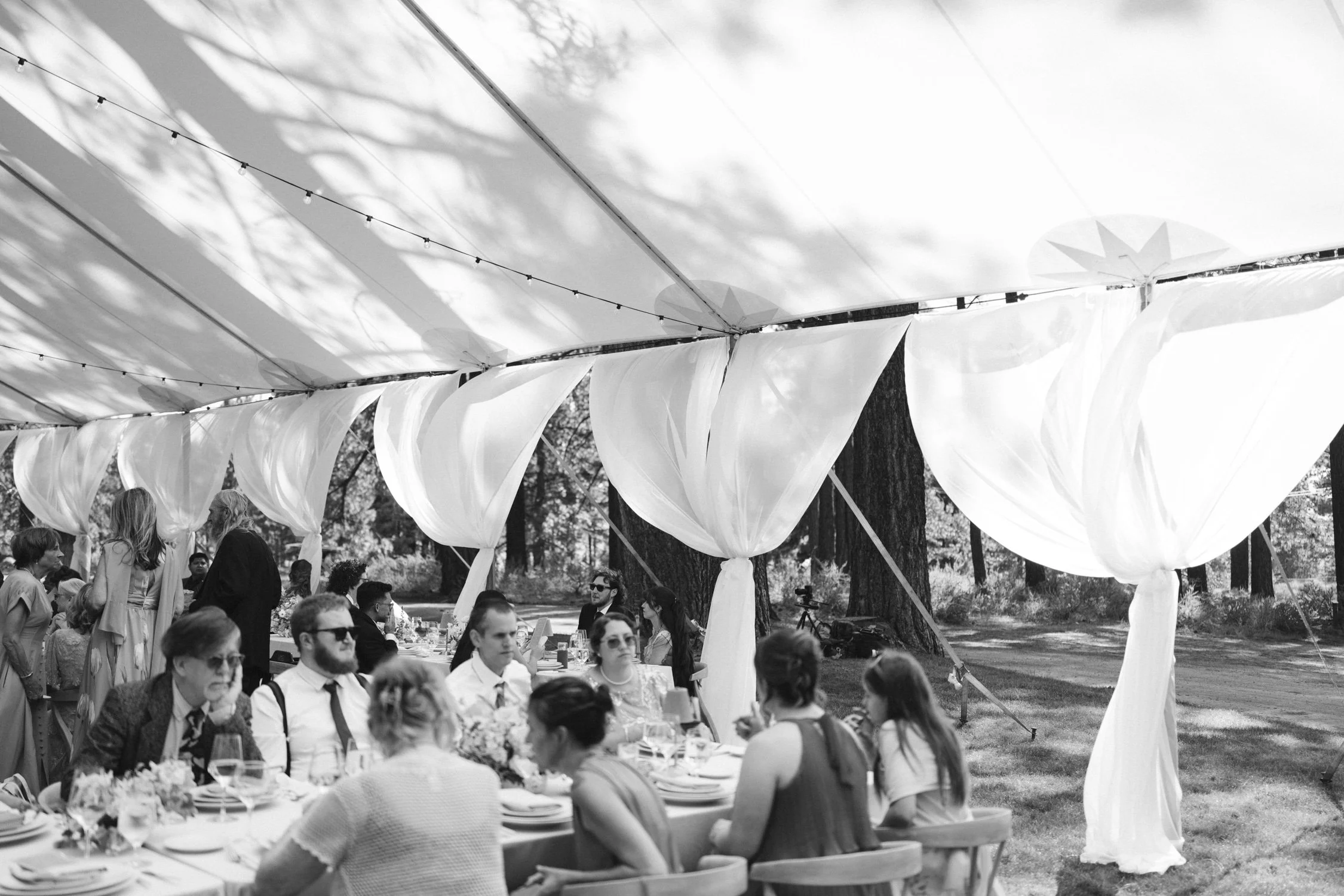 Lake Tahoe 4-H Camp wedding photos, photo of tent decorated with flowing ivory drapes for an outdoor reception