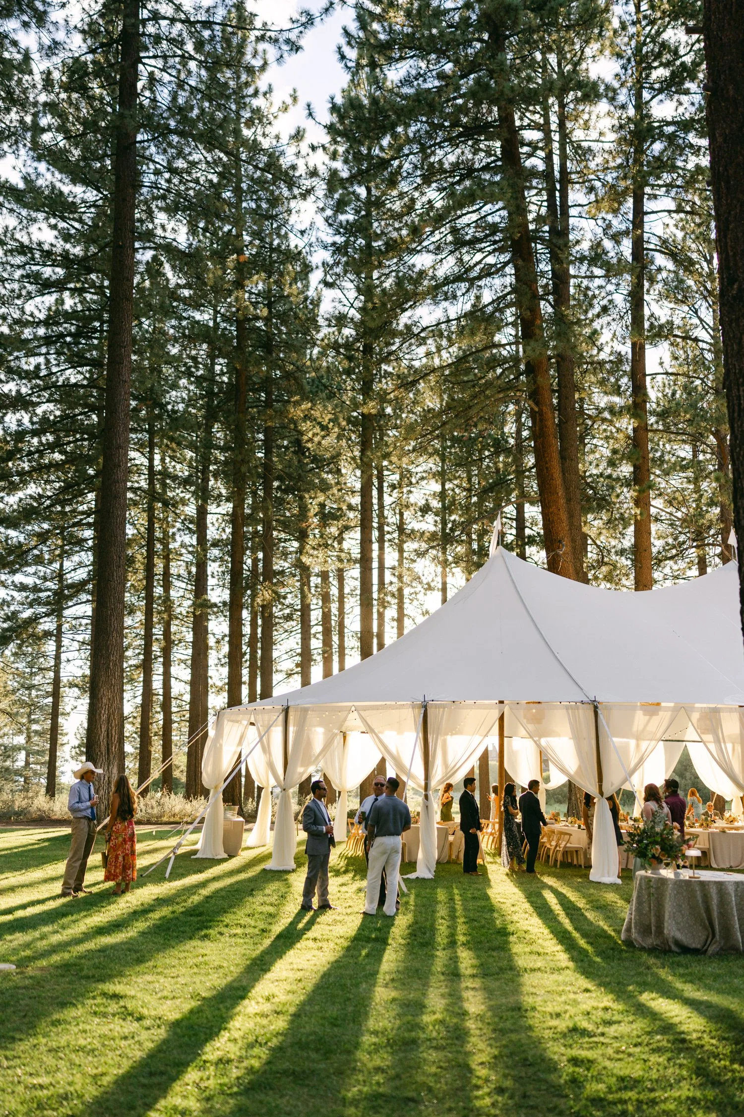 Lake Tahoe 4-H Camp wedding photos, photo of an outdoor wedding reception featuring a large, white sailcloth-style tent nestled among tall pine trees