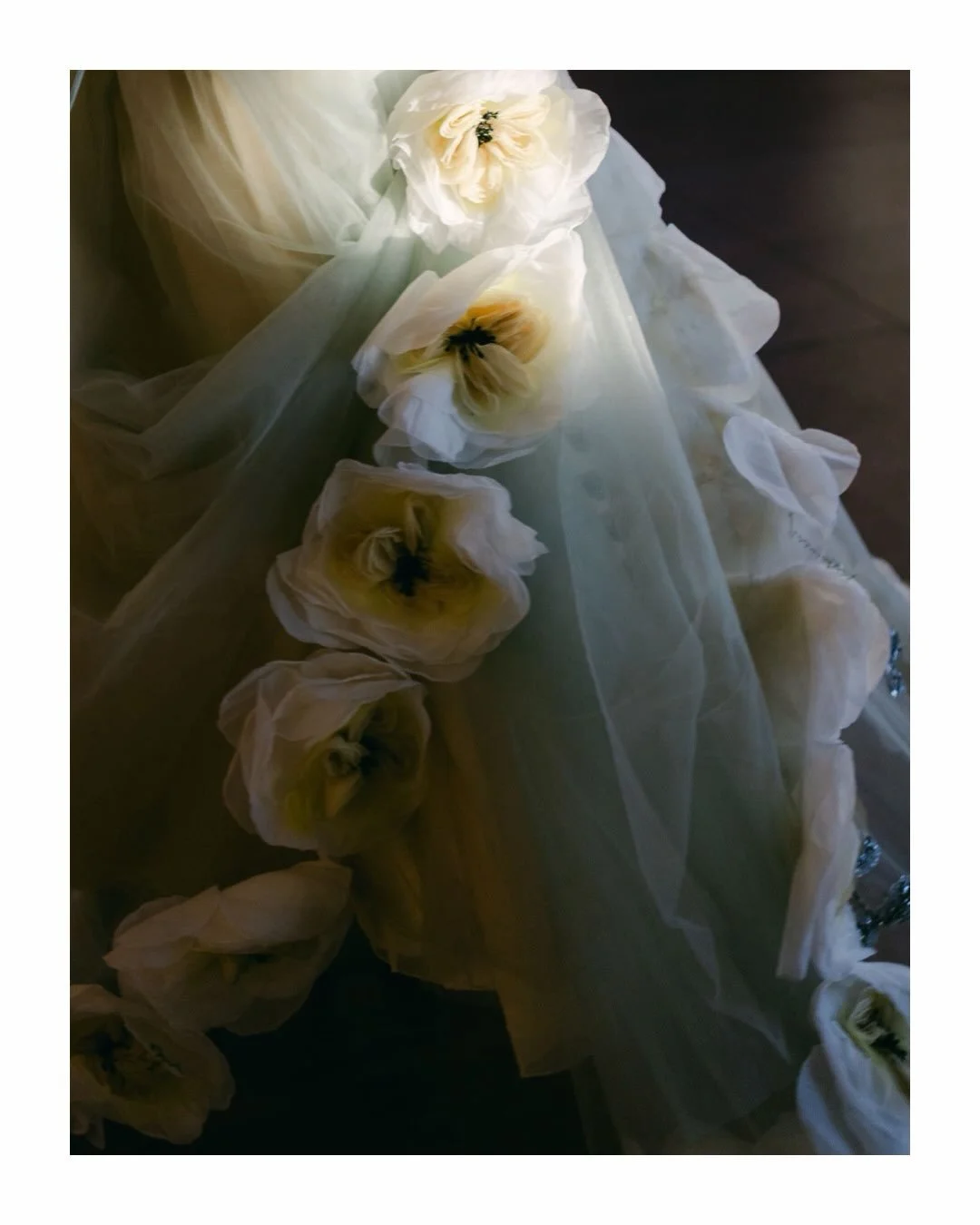 I heard A Midsummer Night&rsquo;s Dream and thought, &ldquo;ok bold wedding theme.&rdquo; Then I realized I was thinking of Midsommar (the horror movie). 

Anyway, I ended up listening to Shakespeare&rsquo;s play and reading far too much about it to 