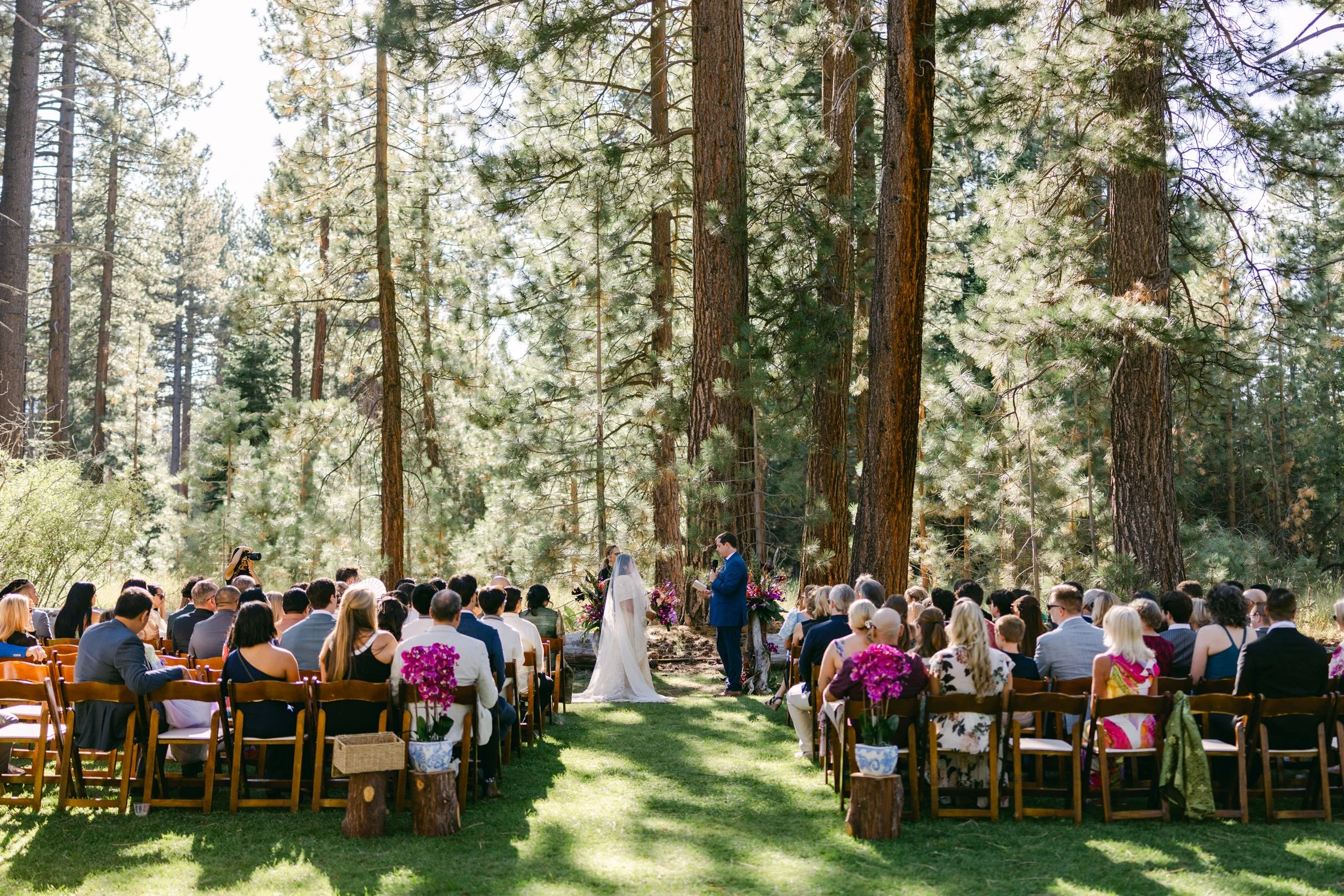 A Valhalla Lake Tahoe Wedding, photo of an outdoor wedding ceremony set in a pine forest