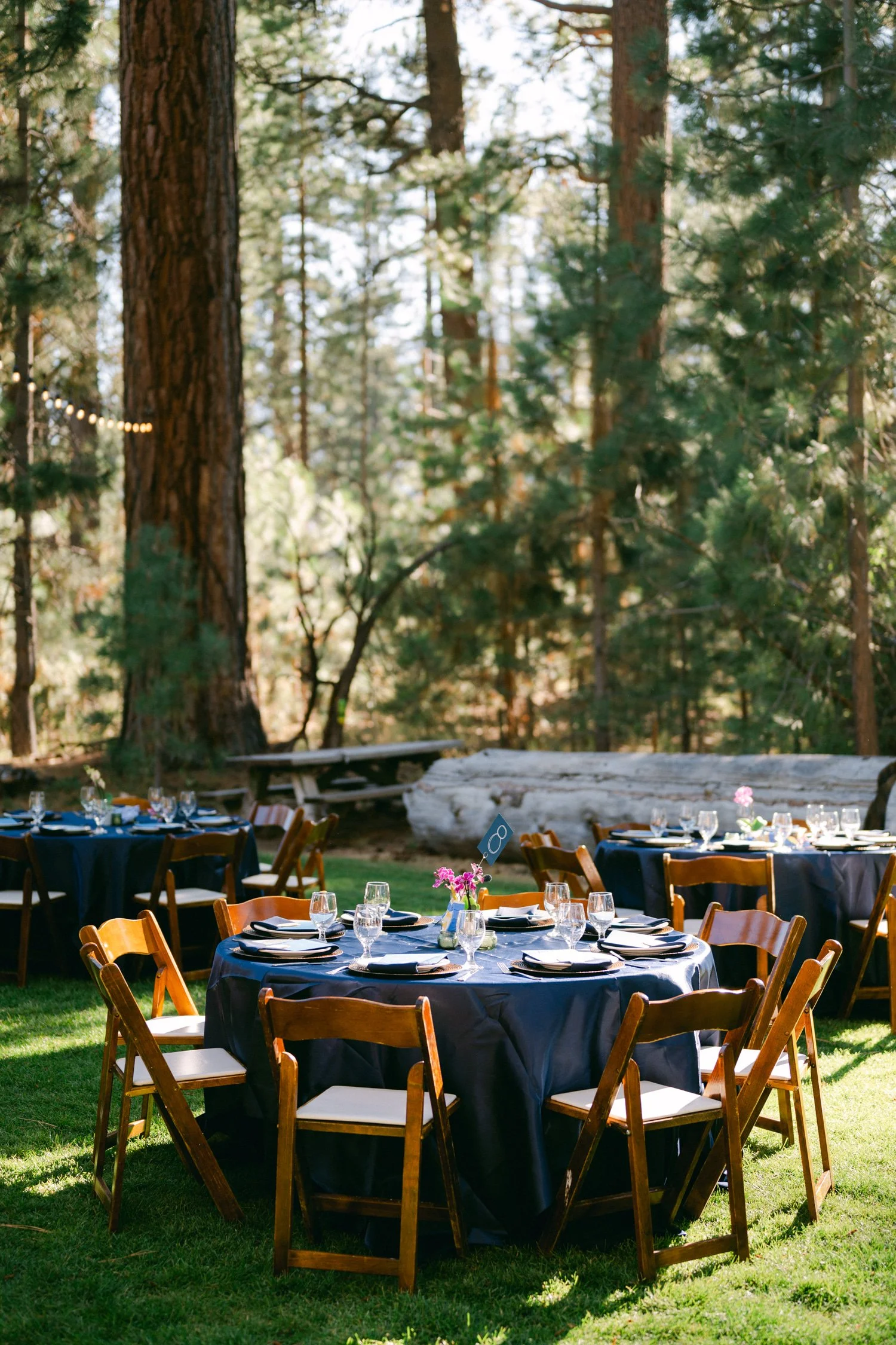 A Valhalla Lake Tahoe Wedding, photo of an outdoor forest wedding reception with round tables covered in dark blue tablecloths and wooden folding chairs set up on the grass among tall pine trees