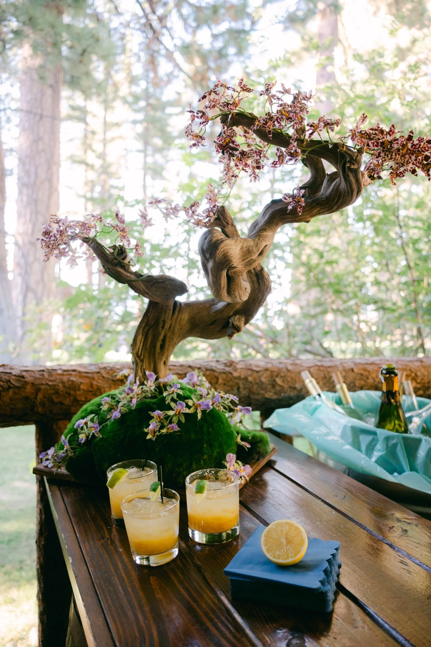 A Valhalla Lake Tahoe Wedding, photo of rustic wooden bar setup with several cocktail glasses and a stack of blue napkins.