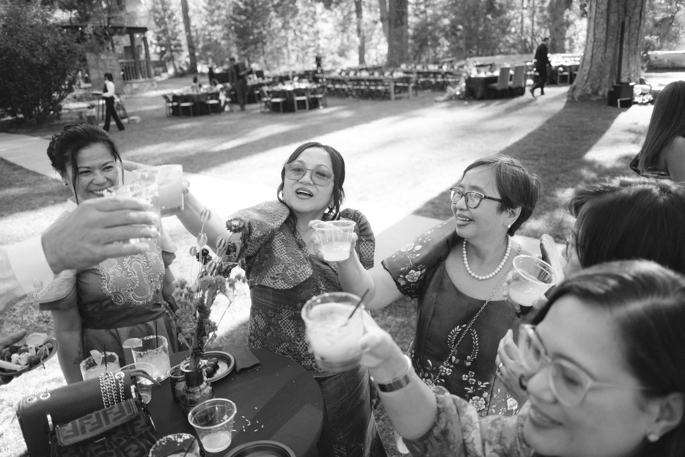 A Valhalla Lake Tahoe Wedding, photo of a joyful group of guests raising glasses during an outdoor wedding toast