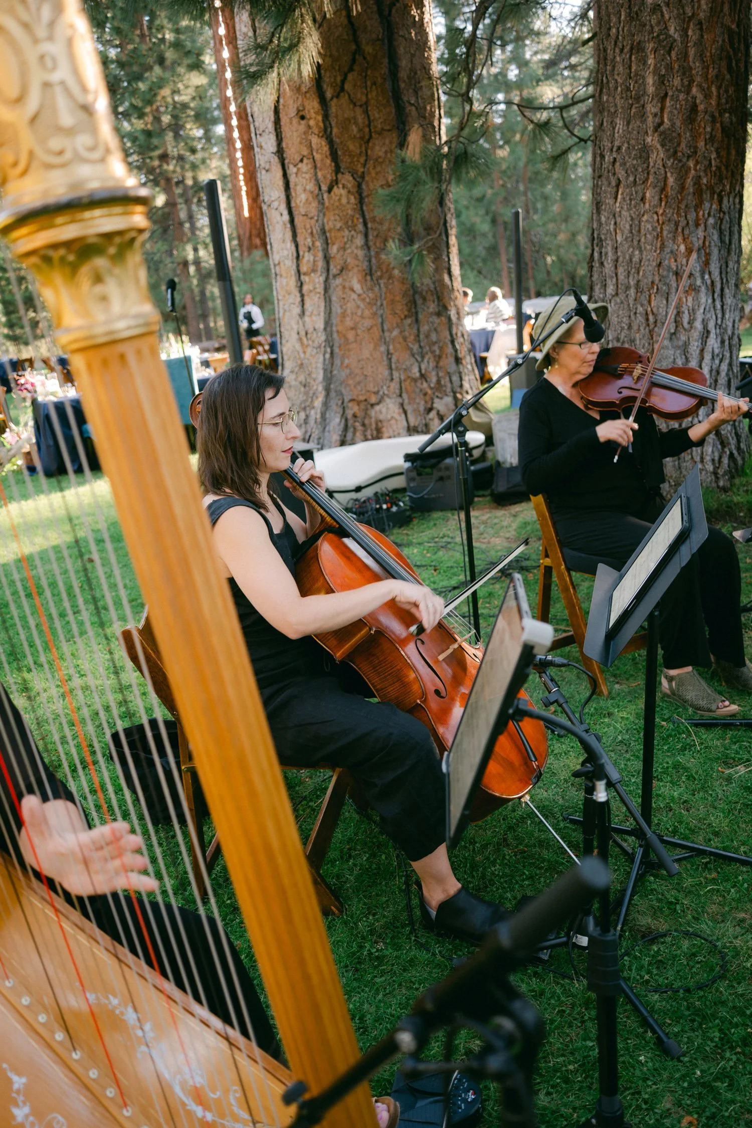 A Valhalla Lake Tahoe Wedding, photo of live musical trio with a harp, cello, and violin performing outdoors among pine trees.