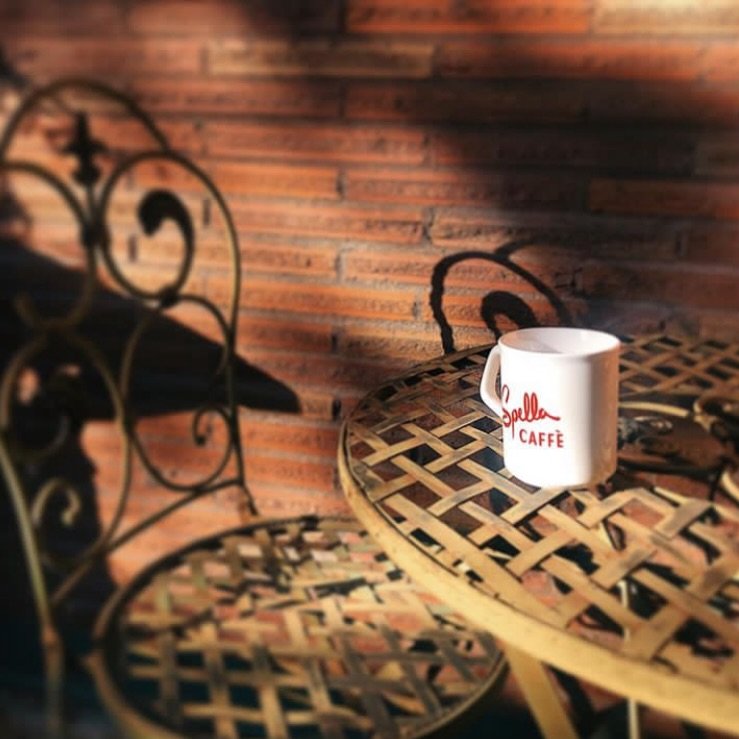 The rain is starting to settle in but we&rsquo;re drinking in the last moments of autumn sunshine before we all get our trees or bust out our traditional seasonal decor! 

Can barely believe it&rsquo;s mid November. Looking forward to being cozy toge