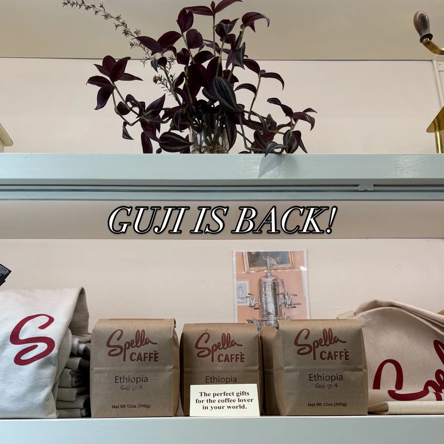 GUJI IS BACK!!!!!☕️✨🫶🏼

#portlandcoffee #portlandoregon #pdxcoffee #pdxcoffeescene #pdxcafe