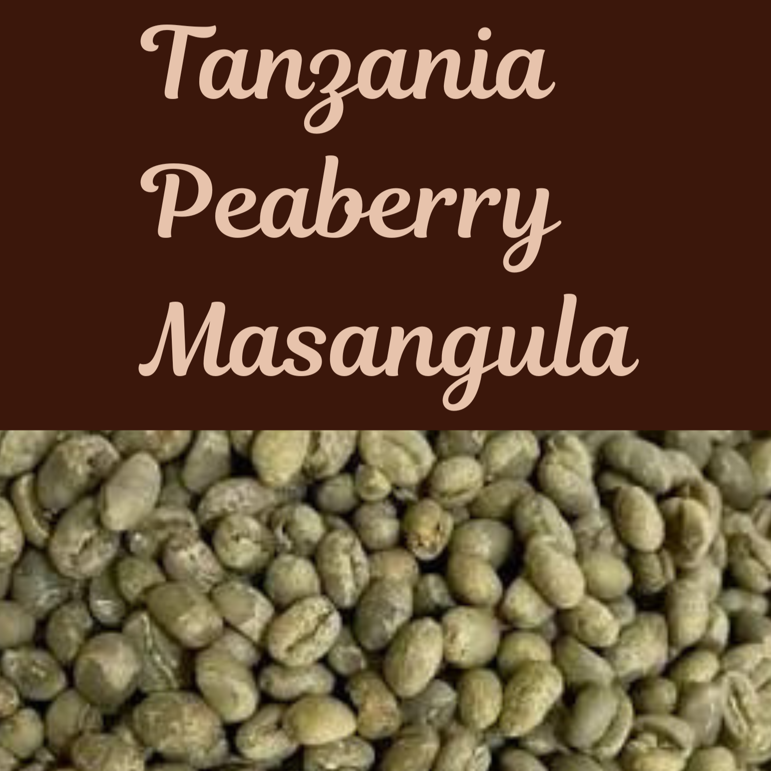 A Crew Favorite Returns- Tanzania Peaberry Masangula