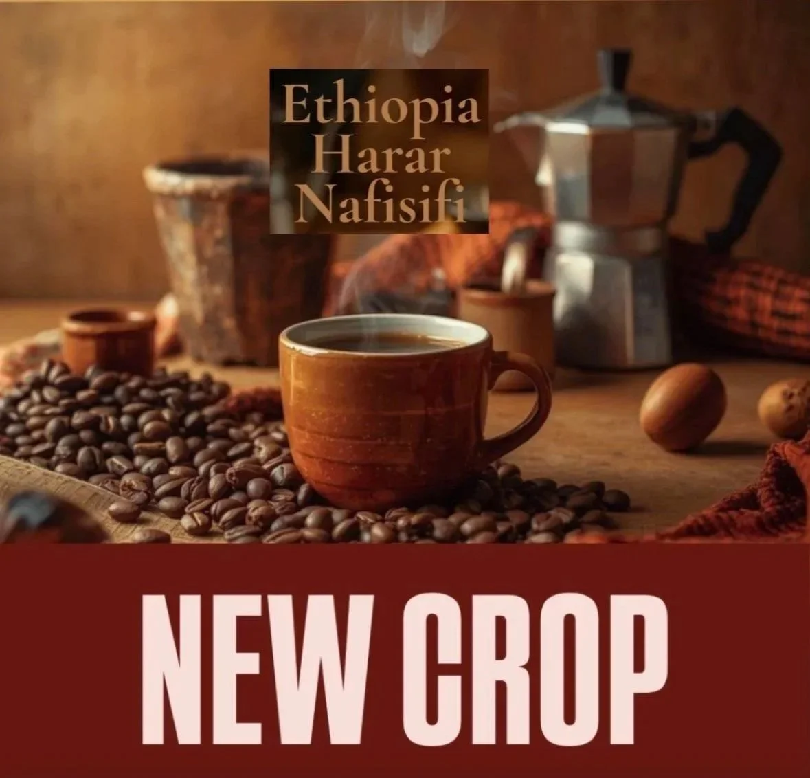 Ethiopia Harar Nafisifi