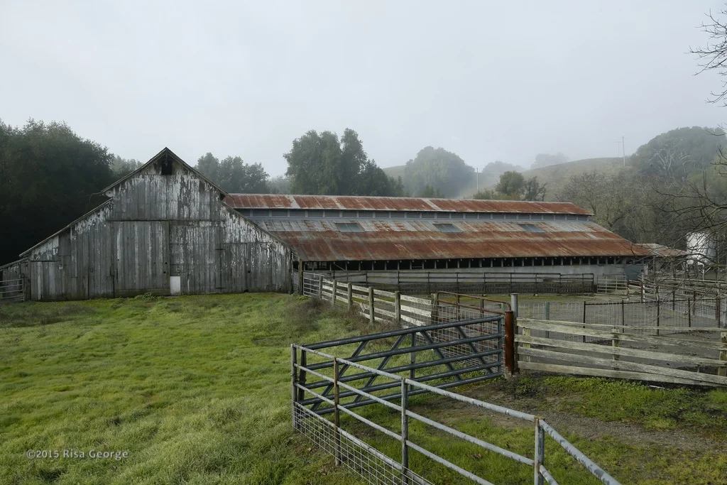 Rural Life 4