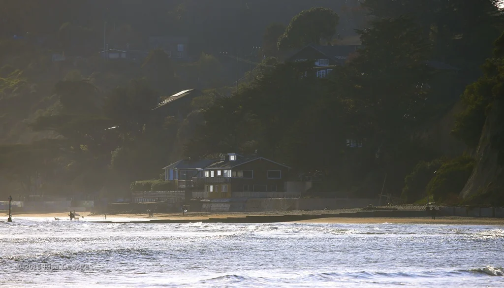 Living at the Edge of the Sea