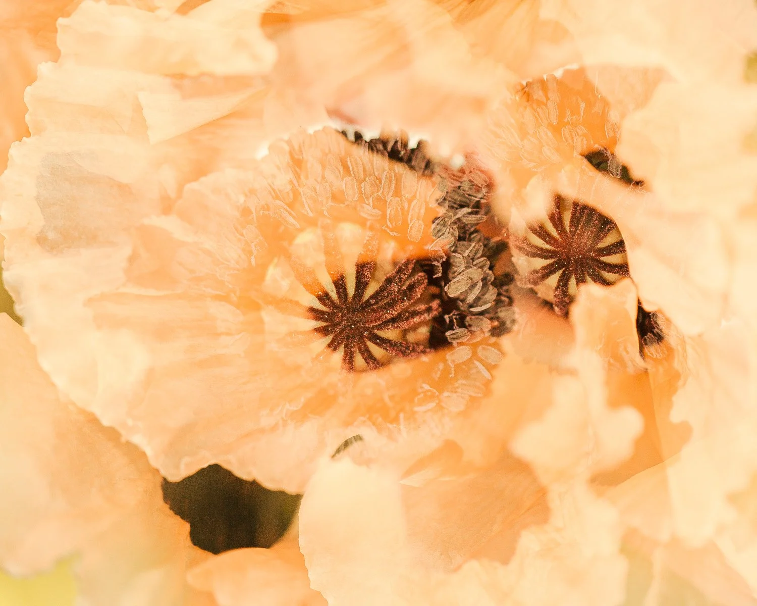 _H4Y5676-3.jpg
