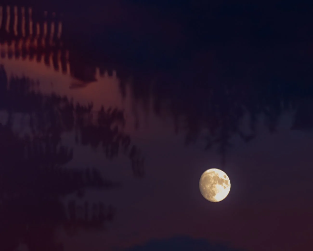 _H4Y3889.jpg