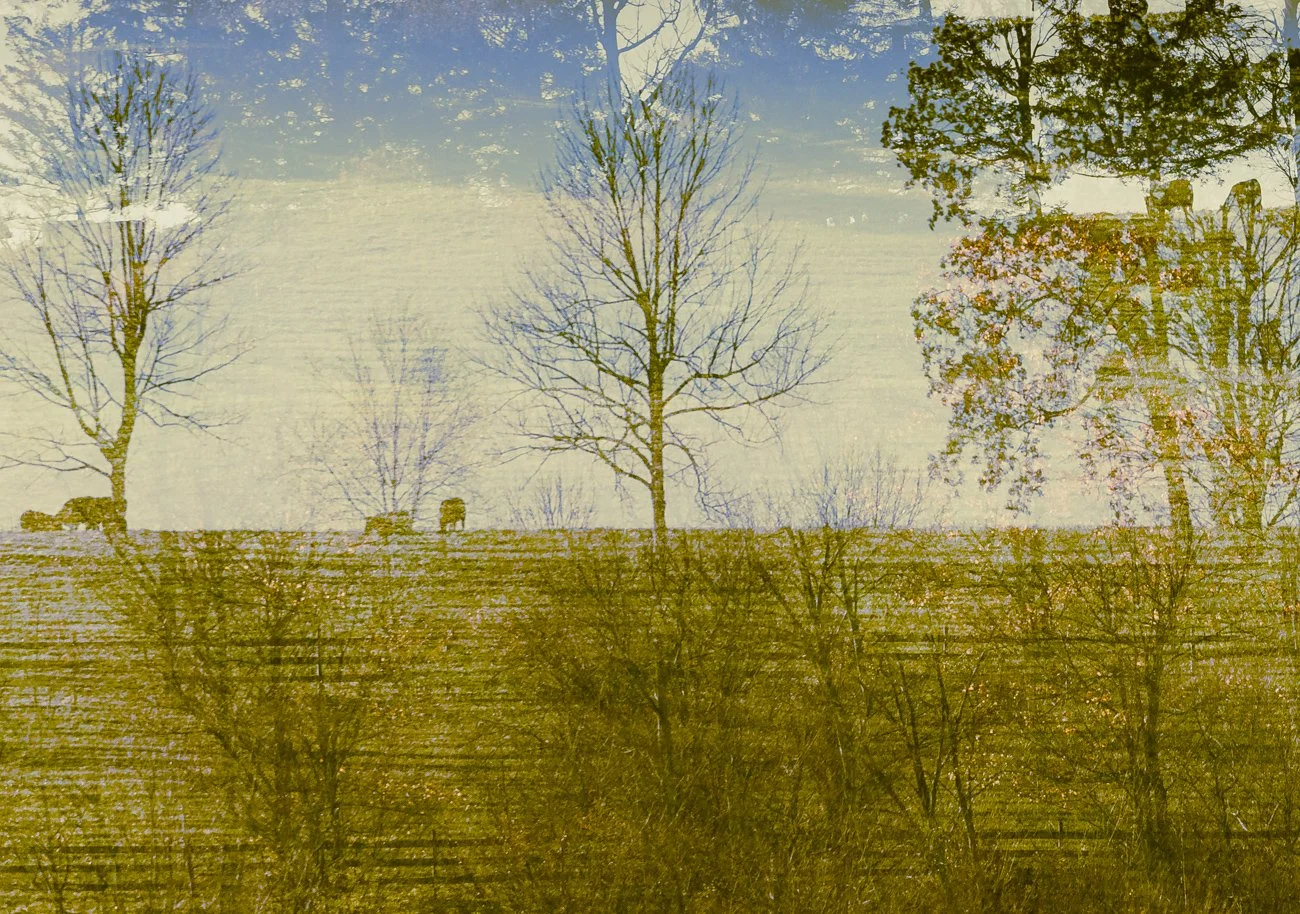 _H4Y9435.jpg