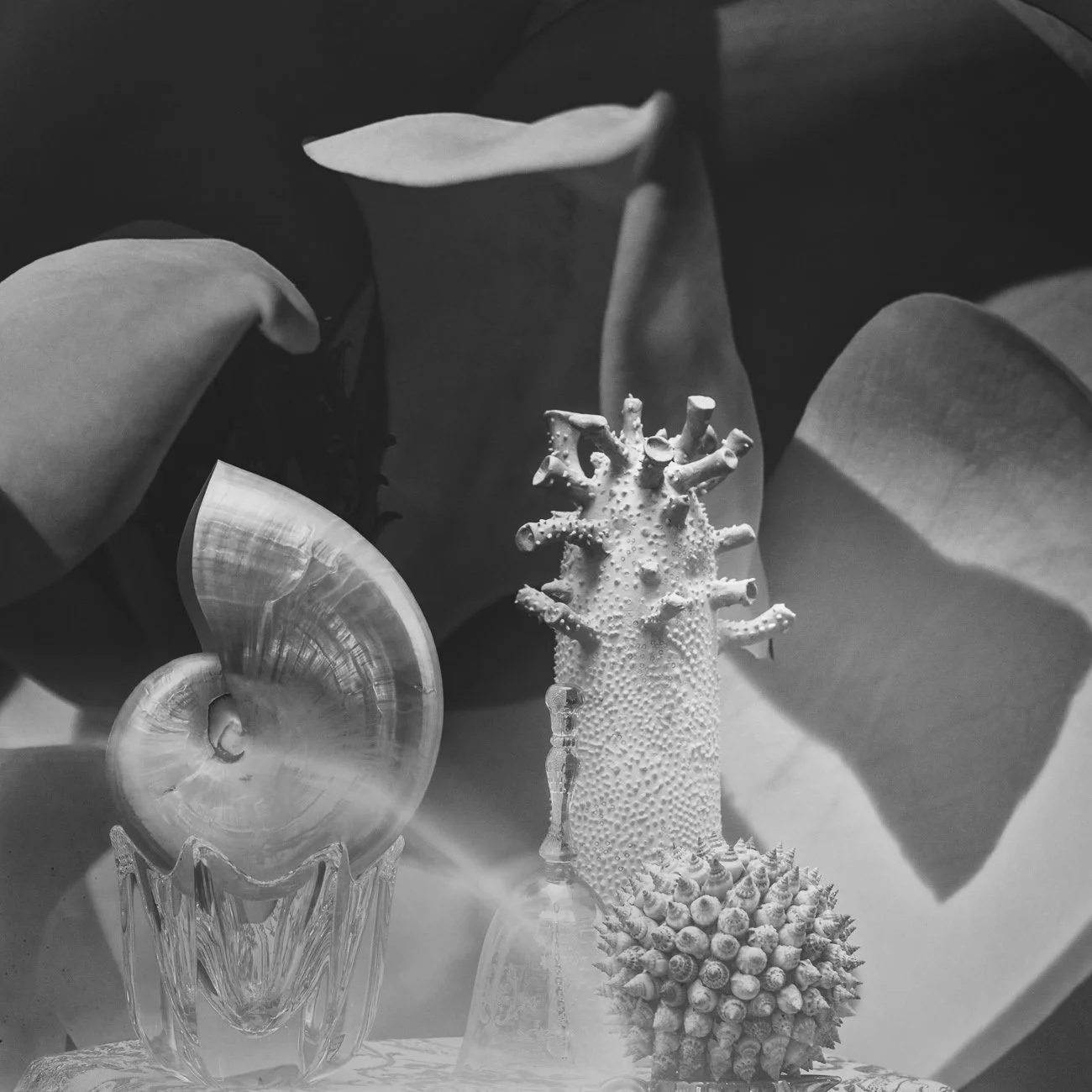 Elements and Incantations - 7
