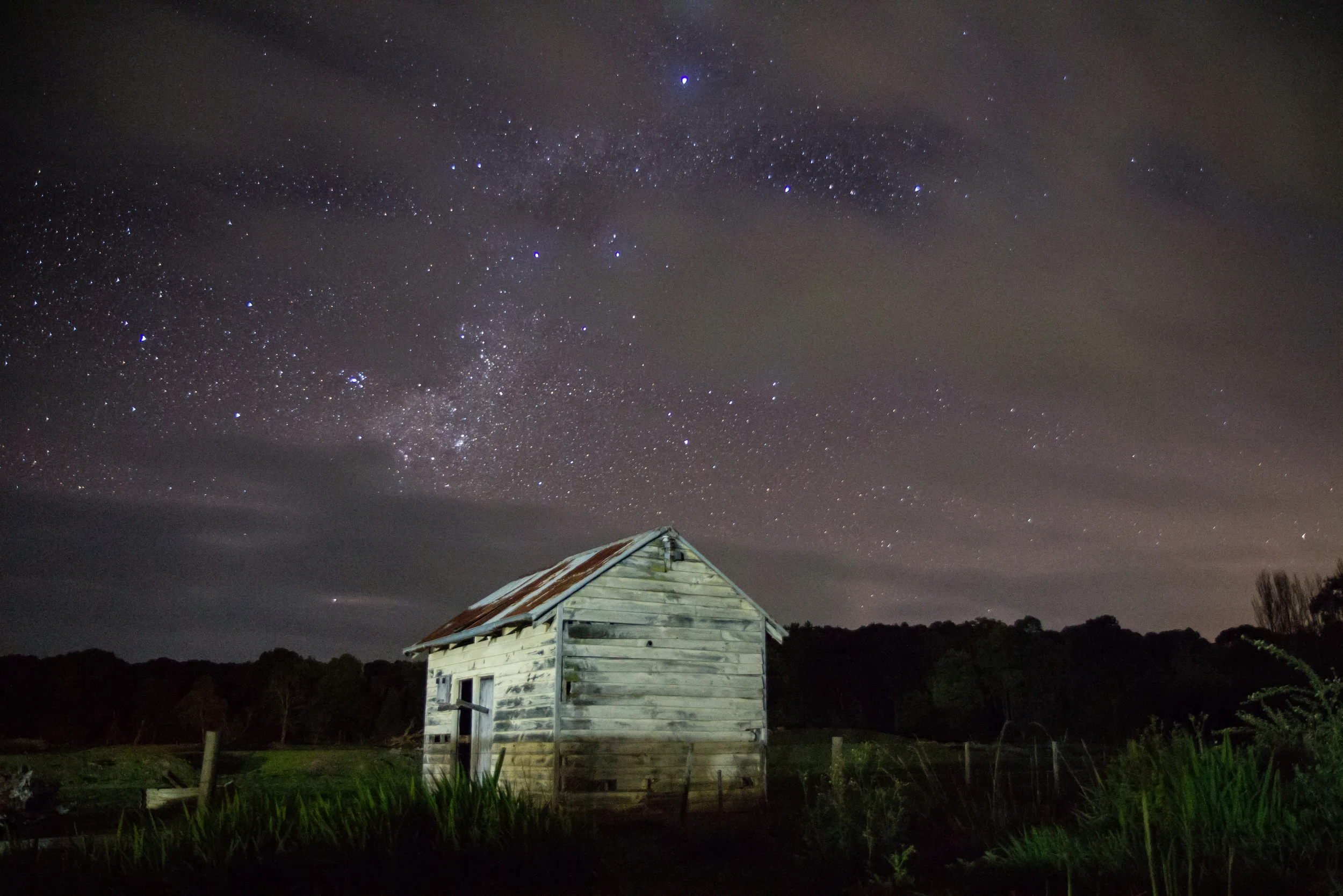 Night vision-4.jpg
