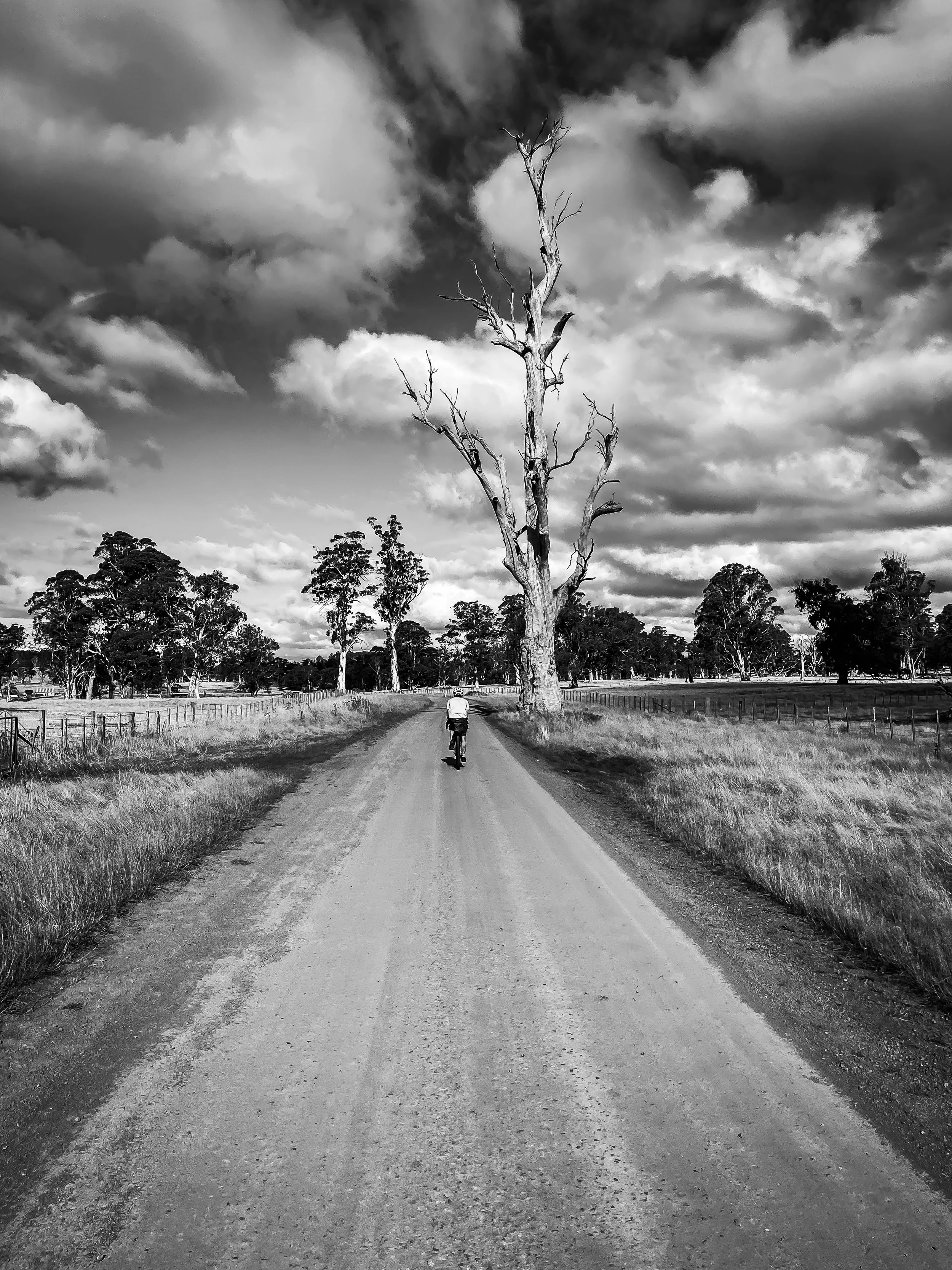 Tassie Trail-203.jpg