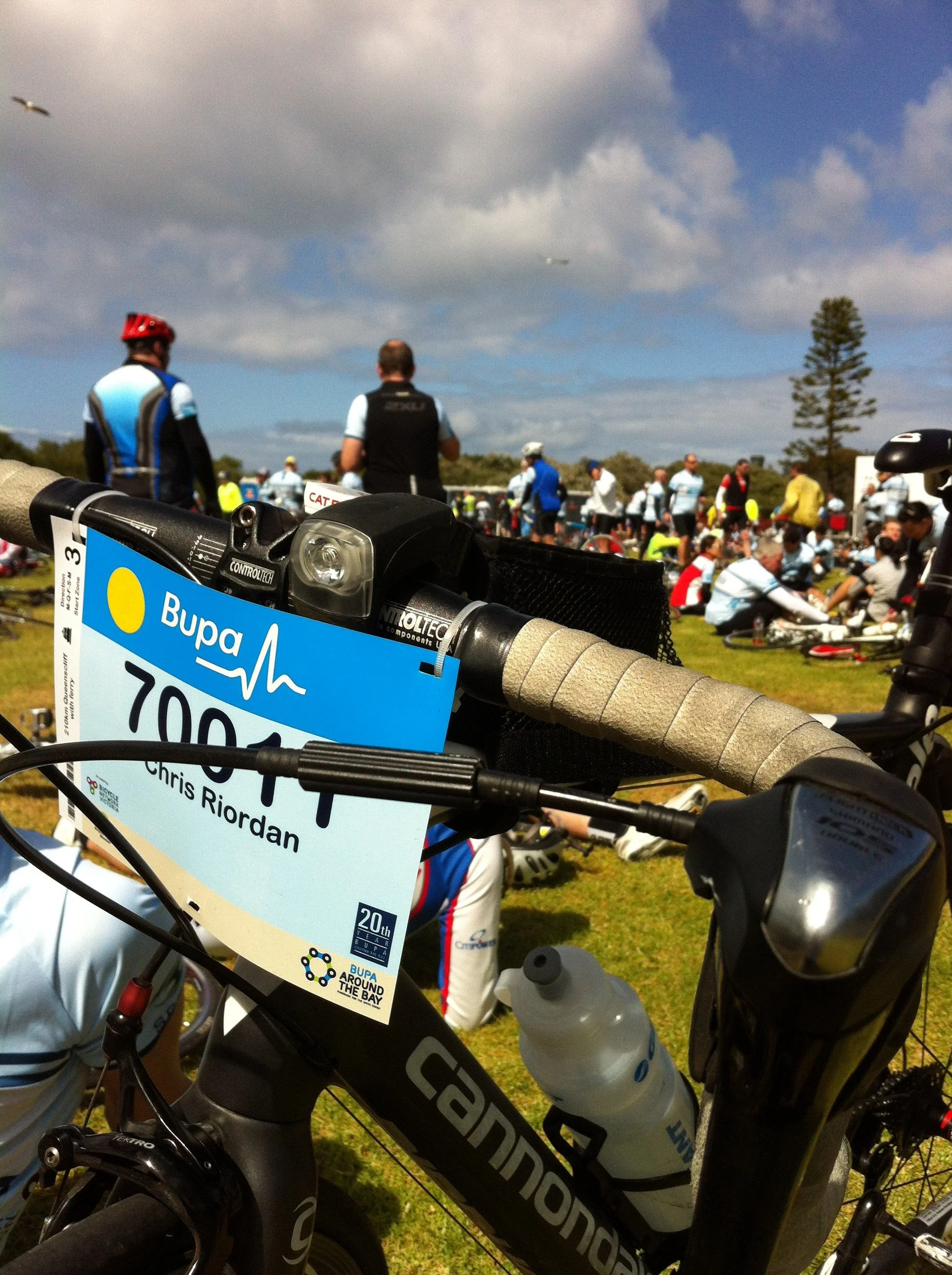 Around the Bay 2015 -  The plan