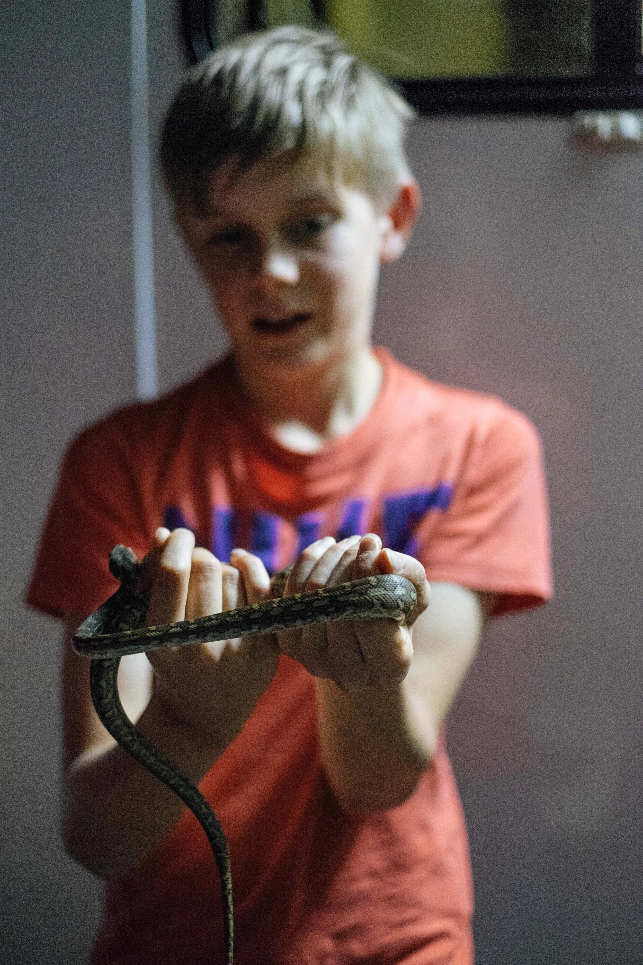 The parable of Joshua and the serpent