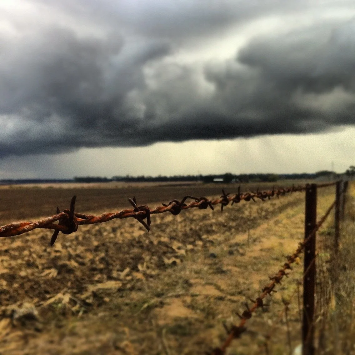 Why I love Instagram