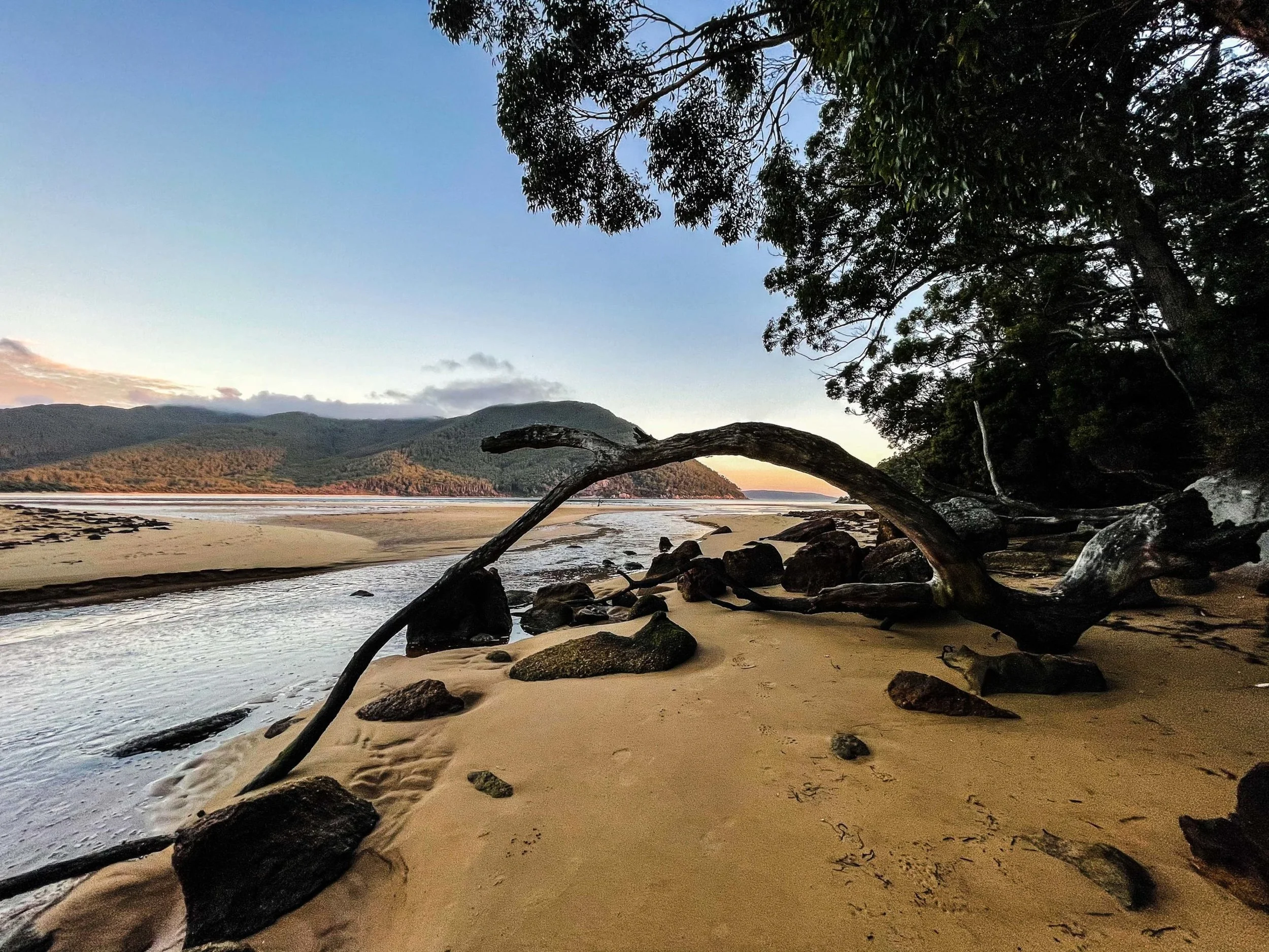 The best camera is the phone you have with you.