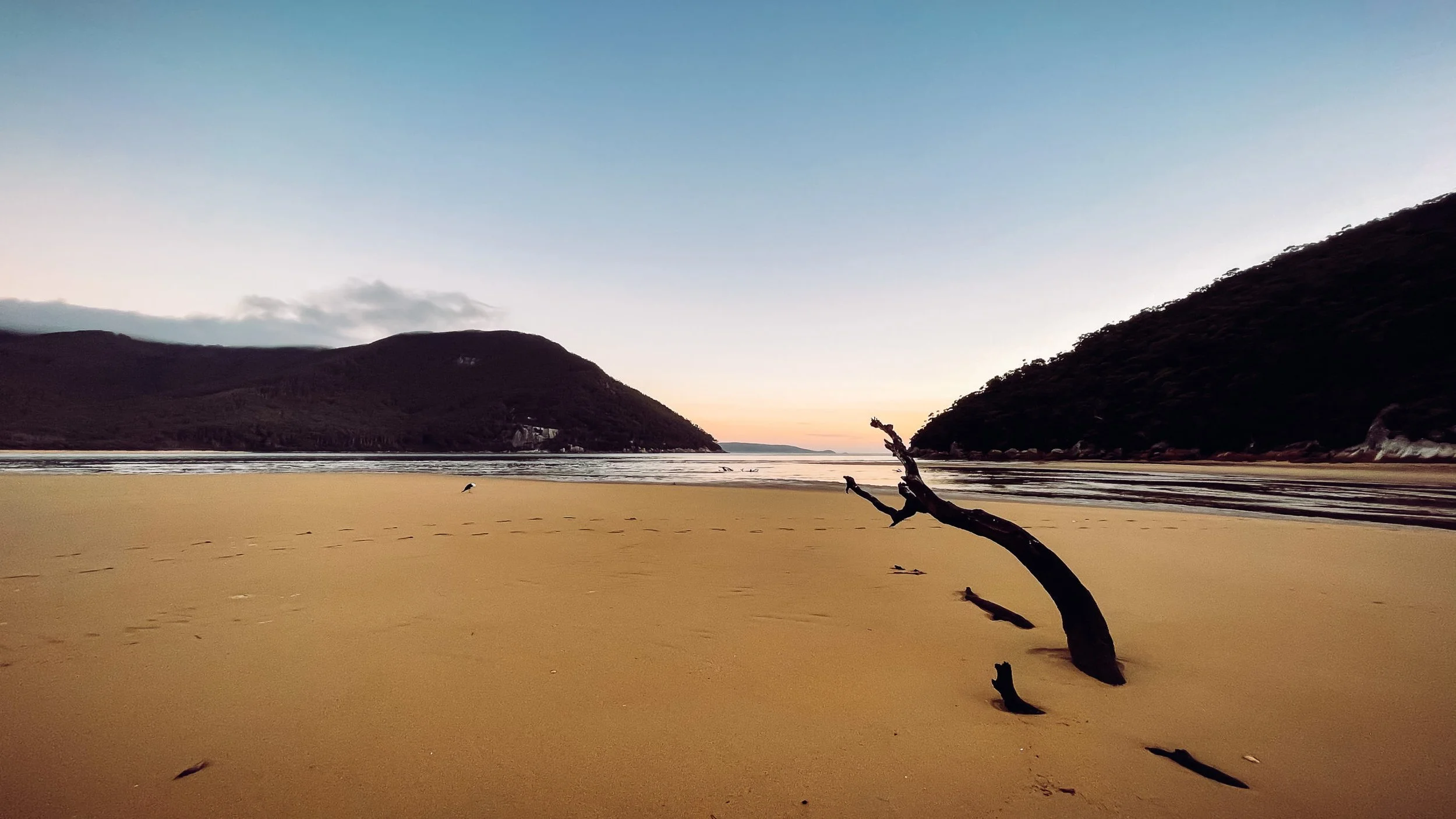 iPhone photograpy ...the follow up edition