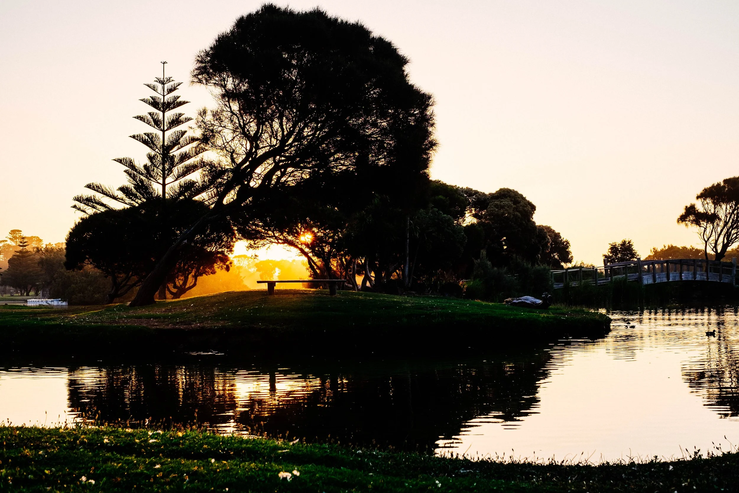 Paleo pears and patrons; surviving as a creative in government