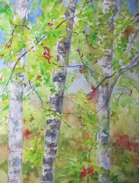 Advent of Autumn
