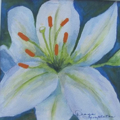 Fragrance 2