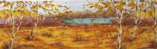 Fall Splendor 2