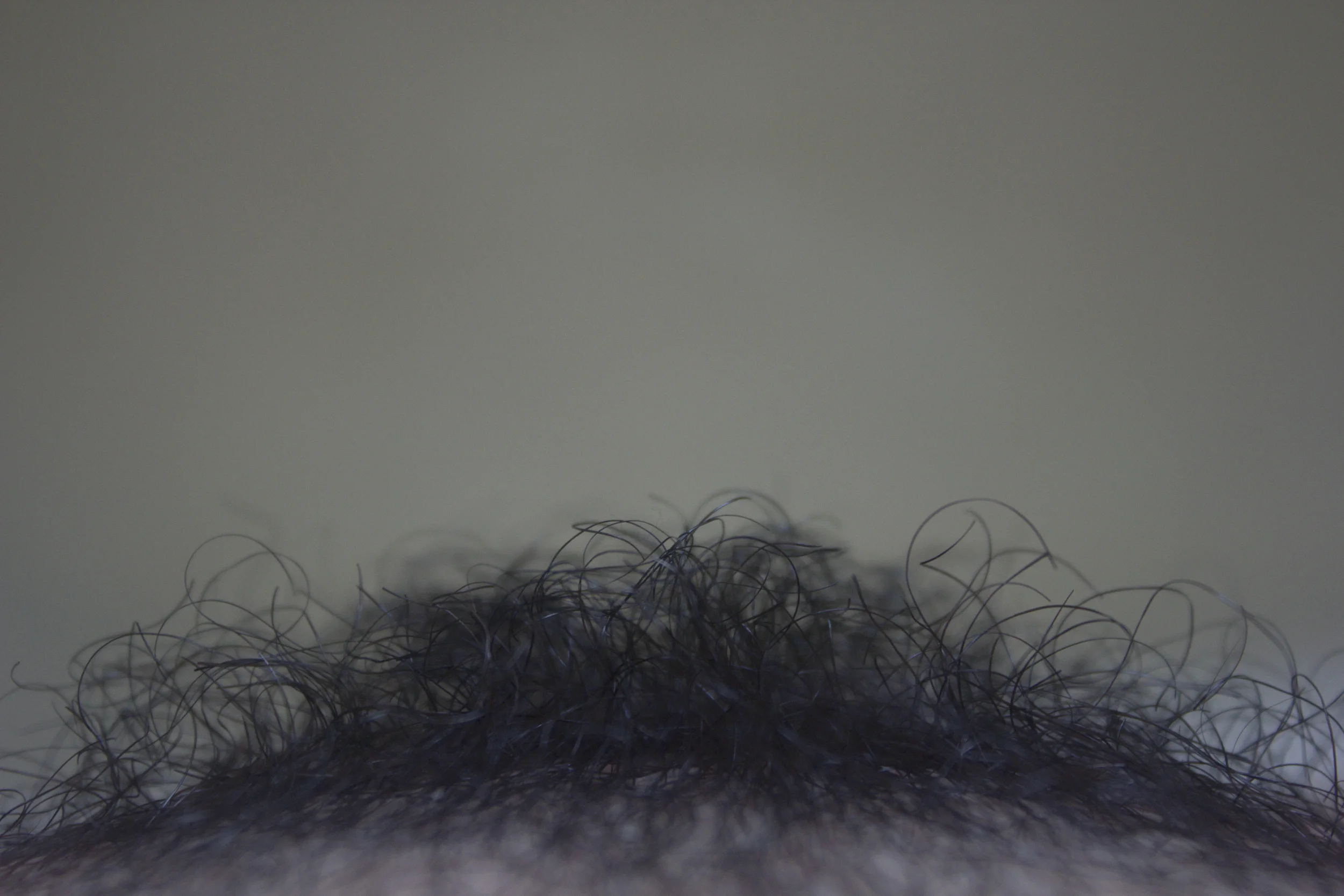 The Giving and Receiving of Head