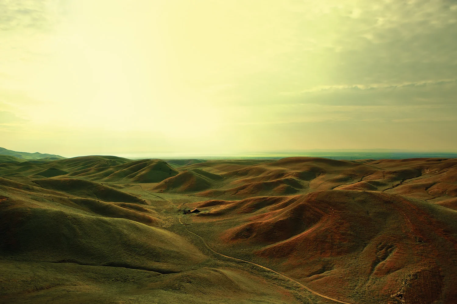Steven Wohlwender, Photographer, Director, California USA