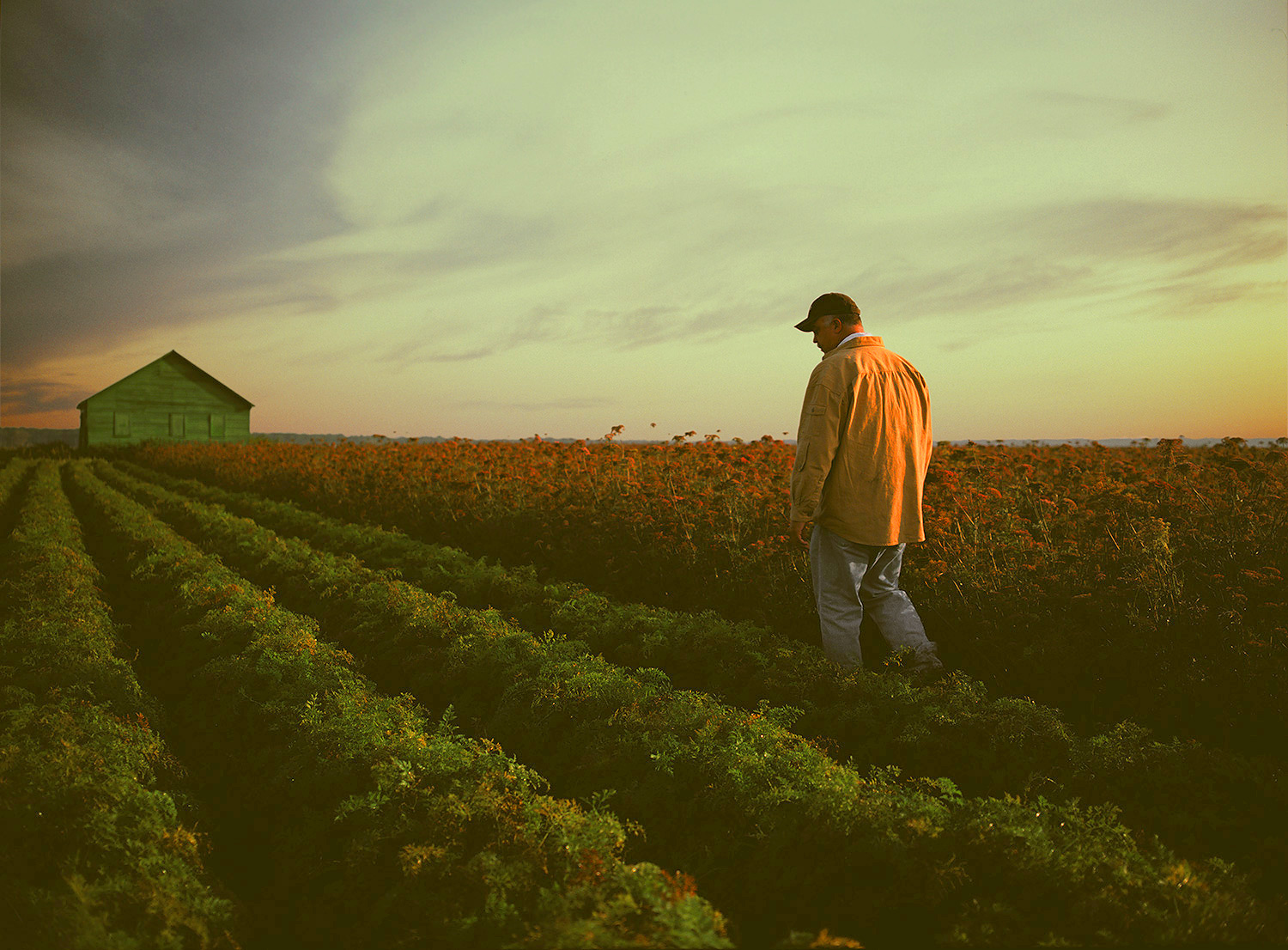 Steven Wohlwender, Photographer, Director, California USA