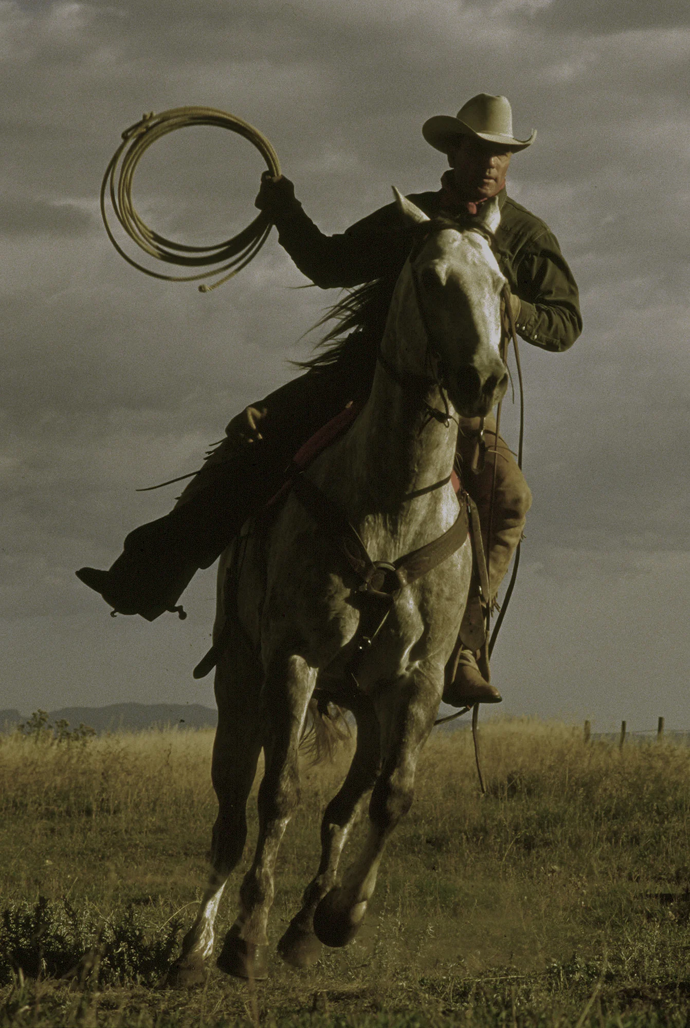 Steven Wohlwender, Photographer, Director, California USA