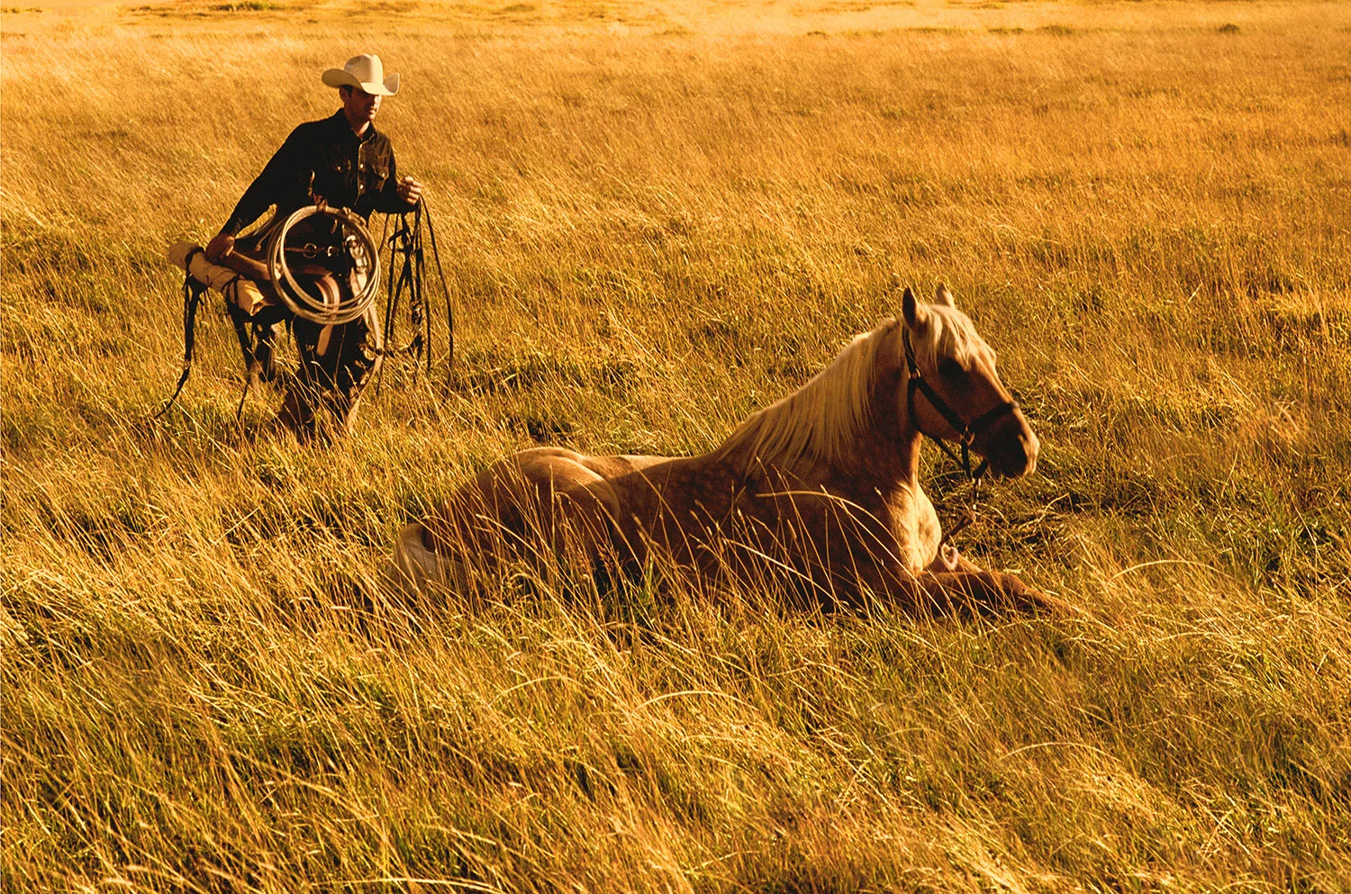 Steven Wohlwender, Photographer, Director, California USA